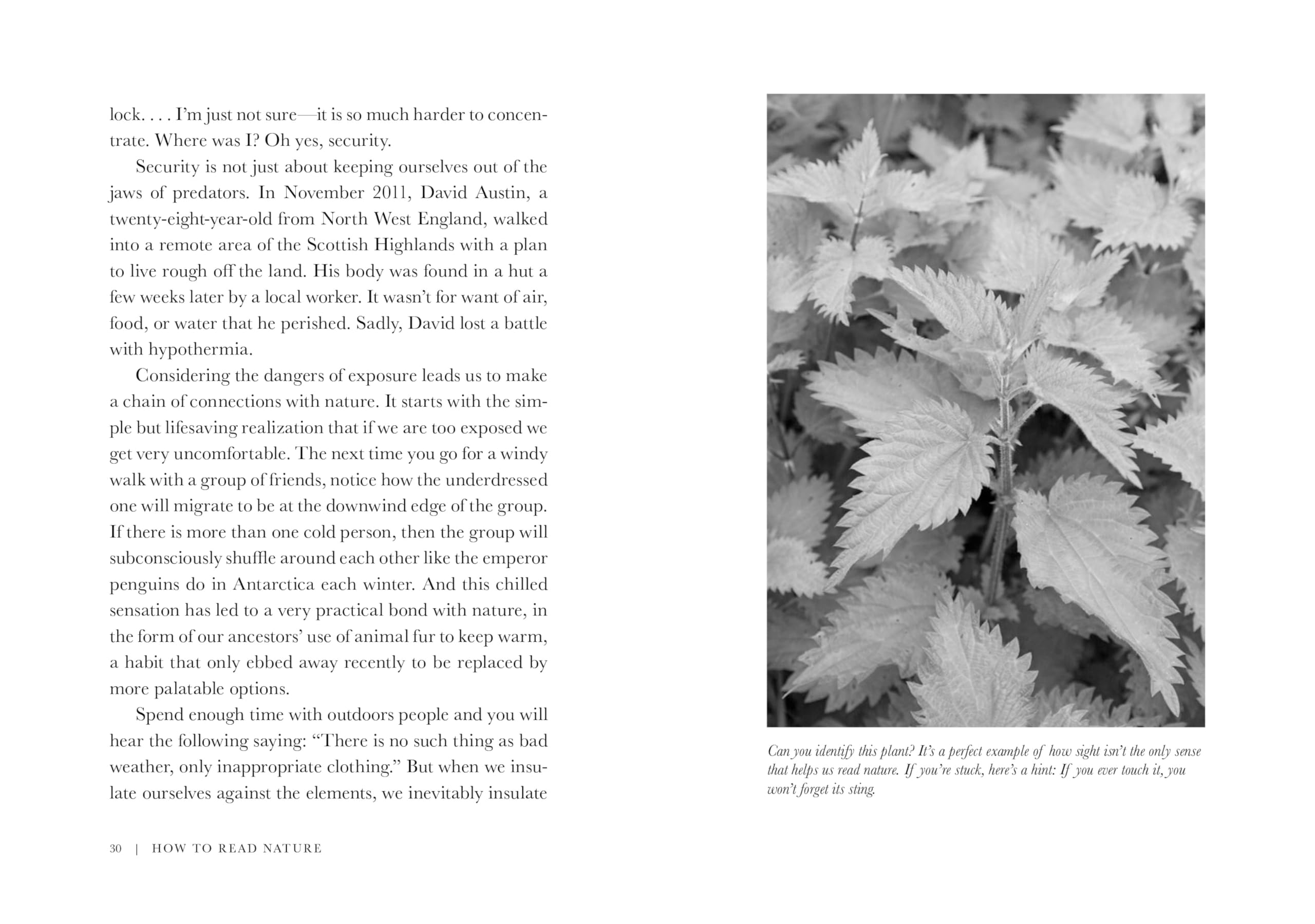 How to Read Nature: Awaken Your Senses to the Outdoors Youve Never Noticed (Natural Navigation),Used