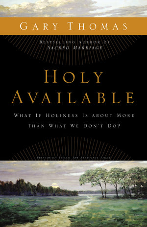 Holy Available: What If Holiness Is about More Than What We Dont Do?,Used