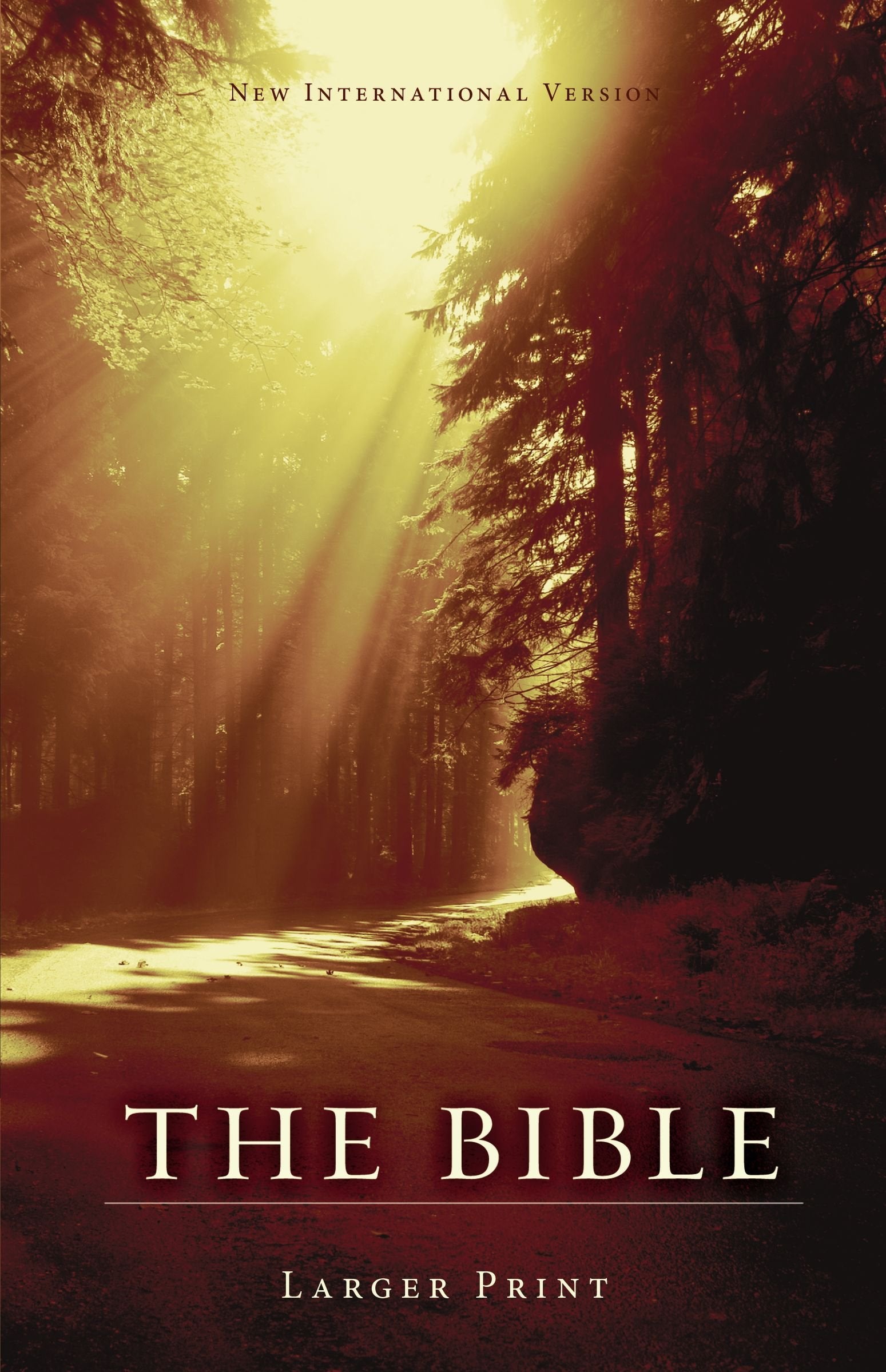 NIV, Holy Bible, Larger Print, Paperback, Brown,Used