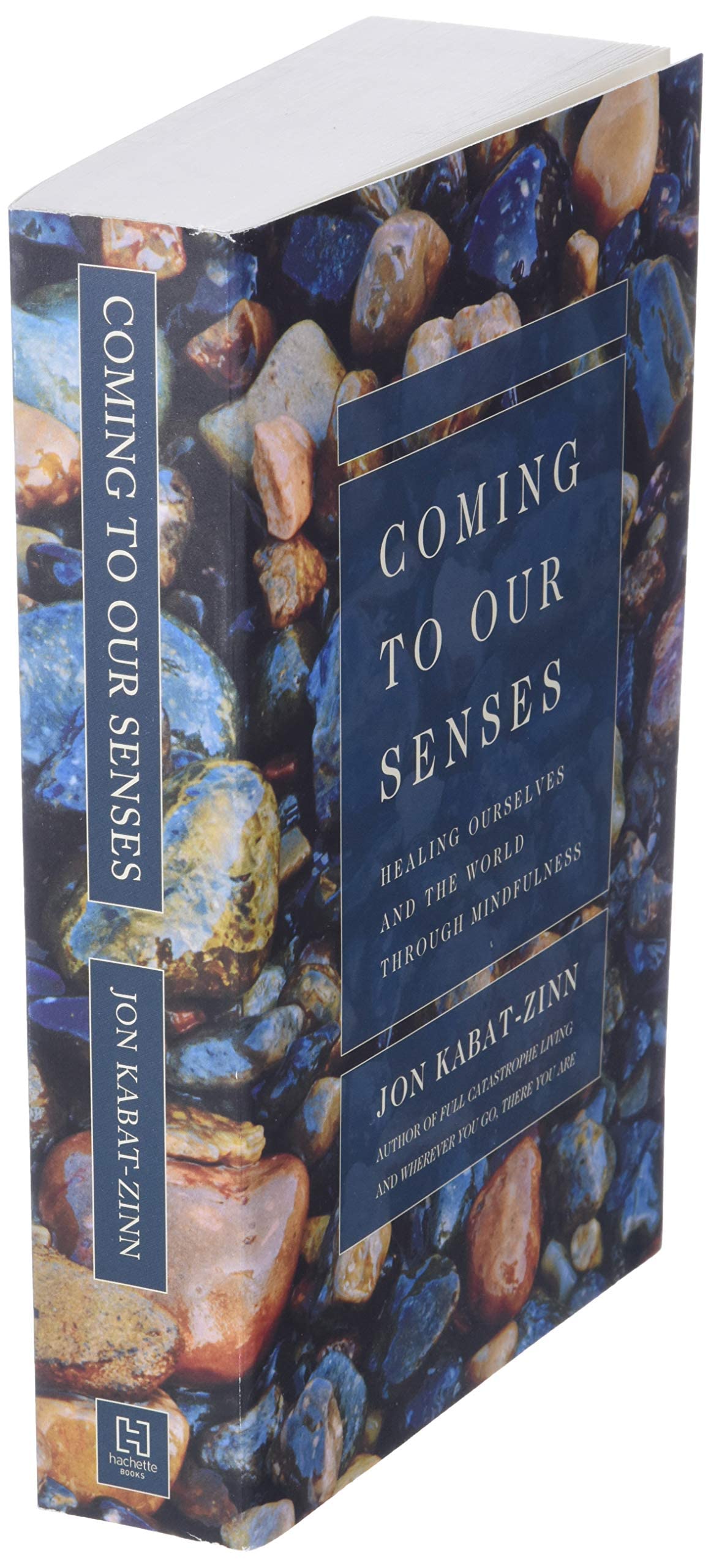 Coming To Our Senses: Healing Ourselves And The World Through Mindfulness,New