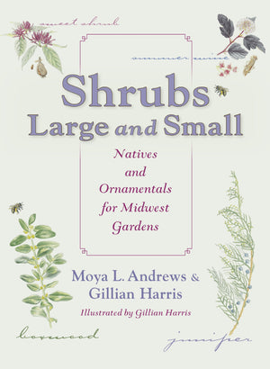 Shrubs Large and Small: Natives and Ornamentals for Midwest Gardens,Used