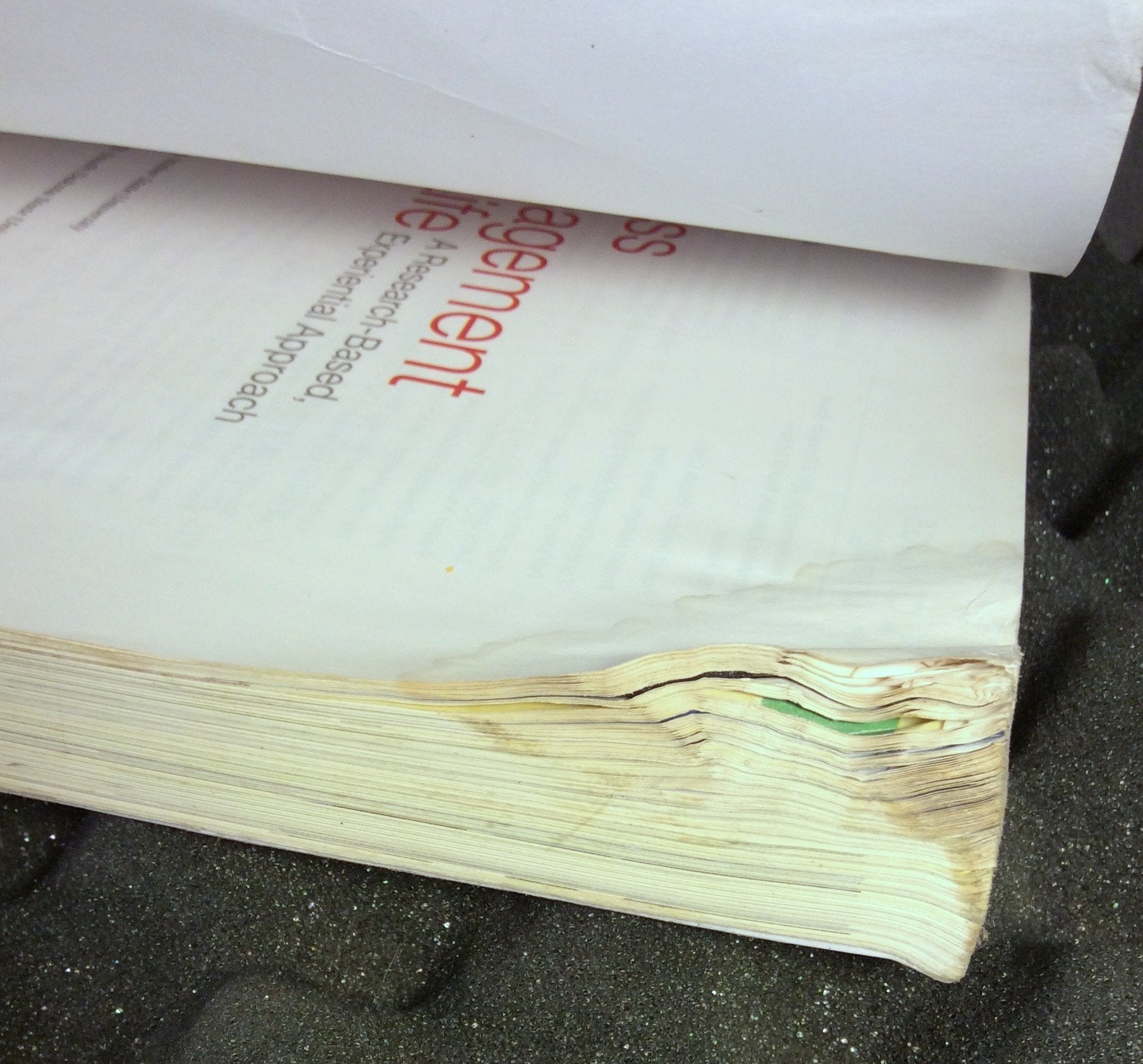 Stress Management for Life: A ResearchBased Experiential Approach,New