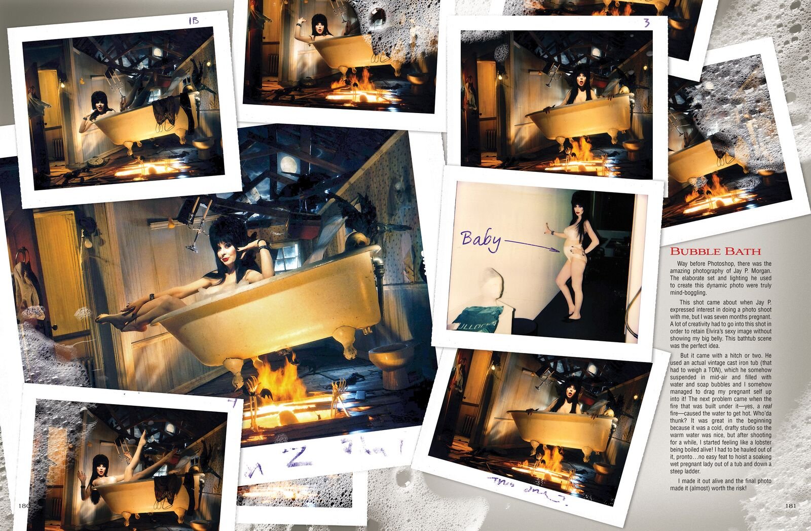 Elvira Mistress Of The Dark Photo Biography Hc-new,New