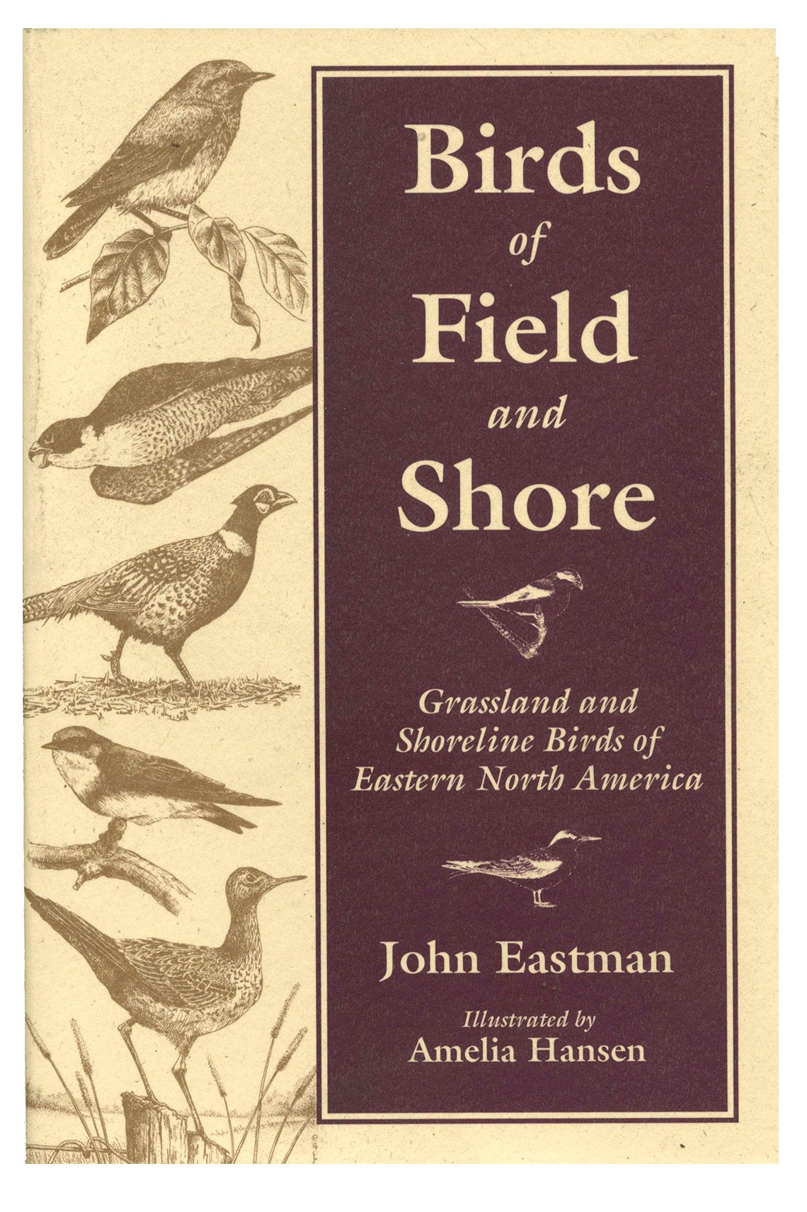 Birds Of Field & Shore: Grassland And Shoreline Birds Of Eastern North America,Used