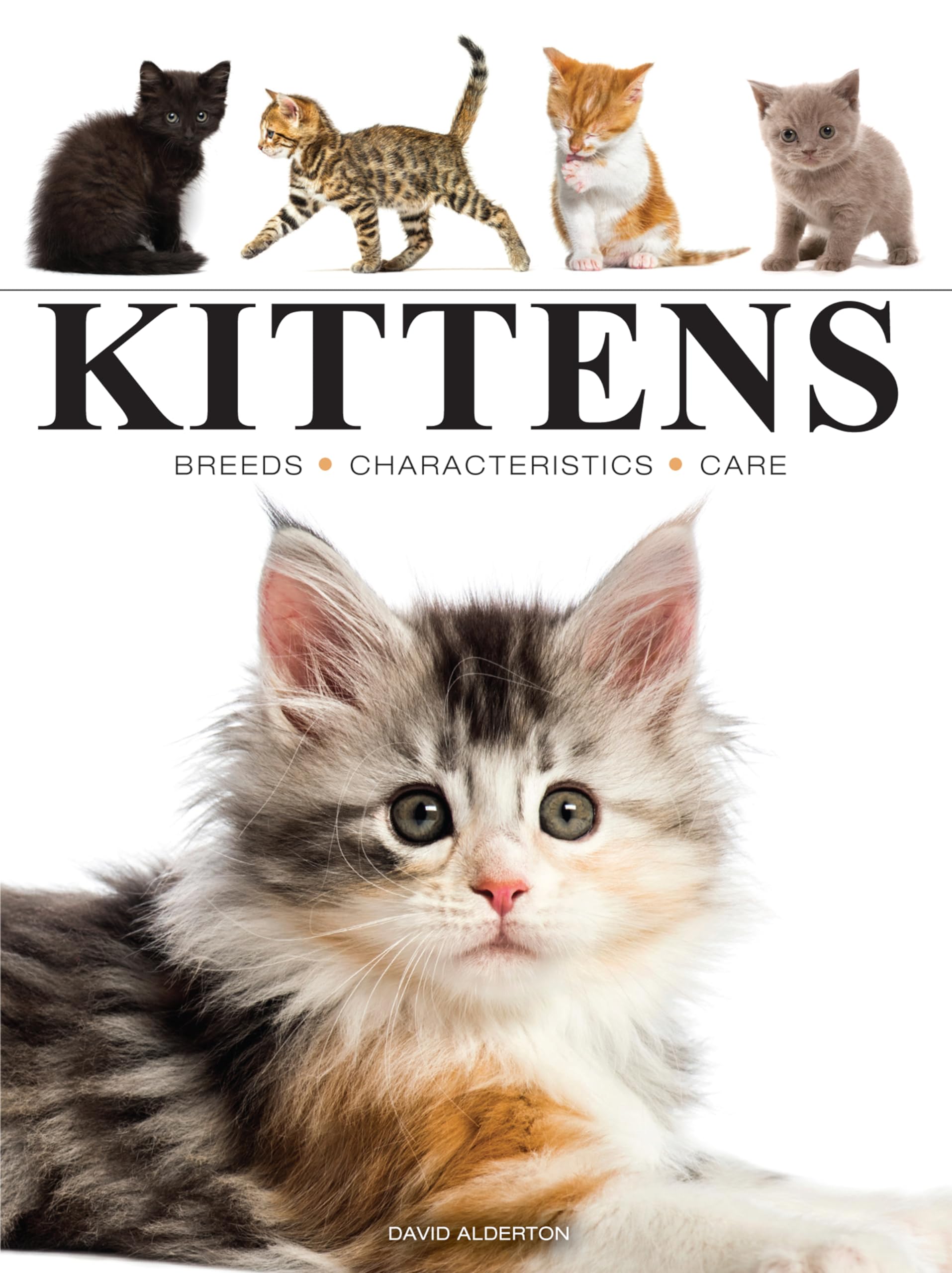 Kittens (Mini Encyclopedia)
