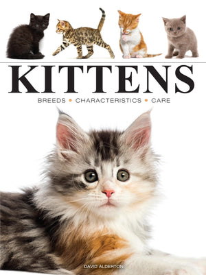 Kittens (Mini Encyclopedia)