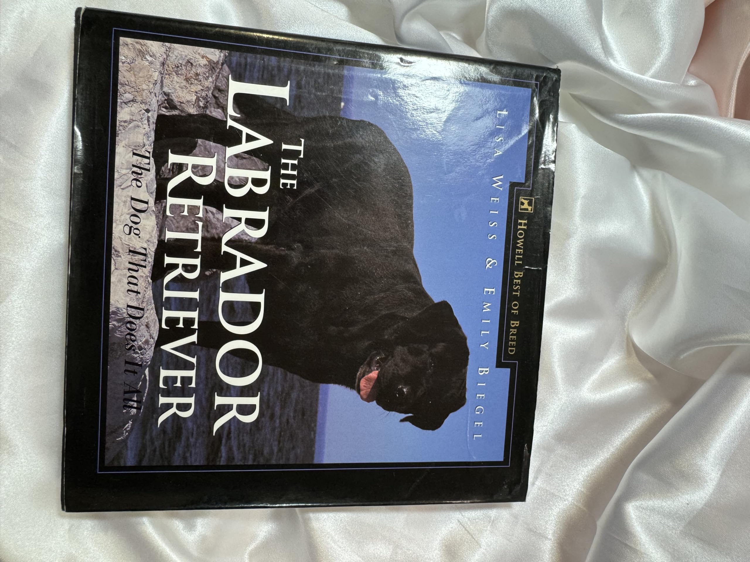 The Labrador Retriever: The Dog That Does It All,Used