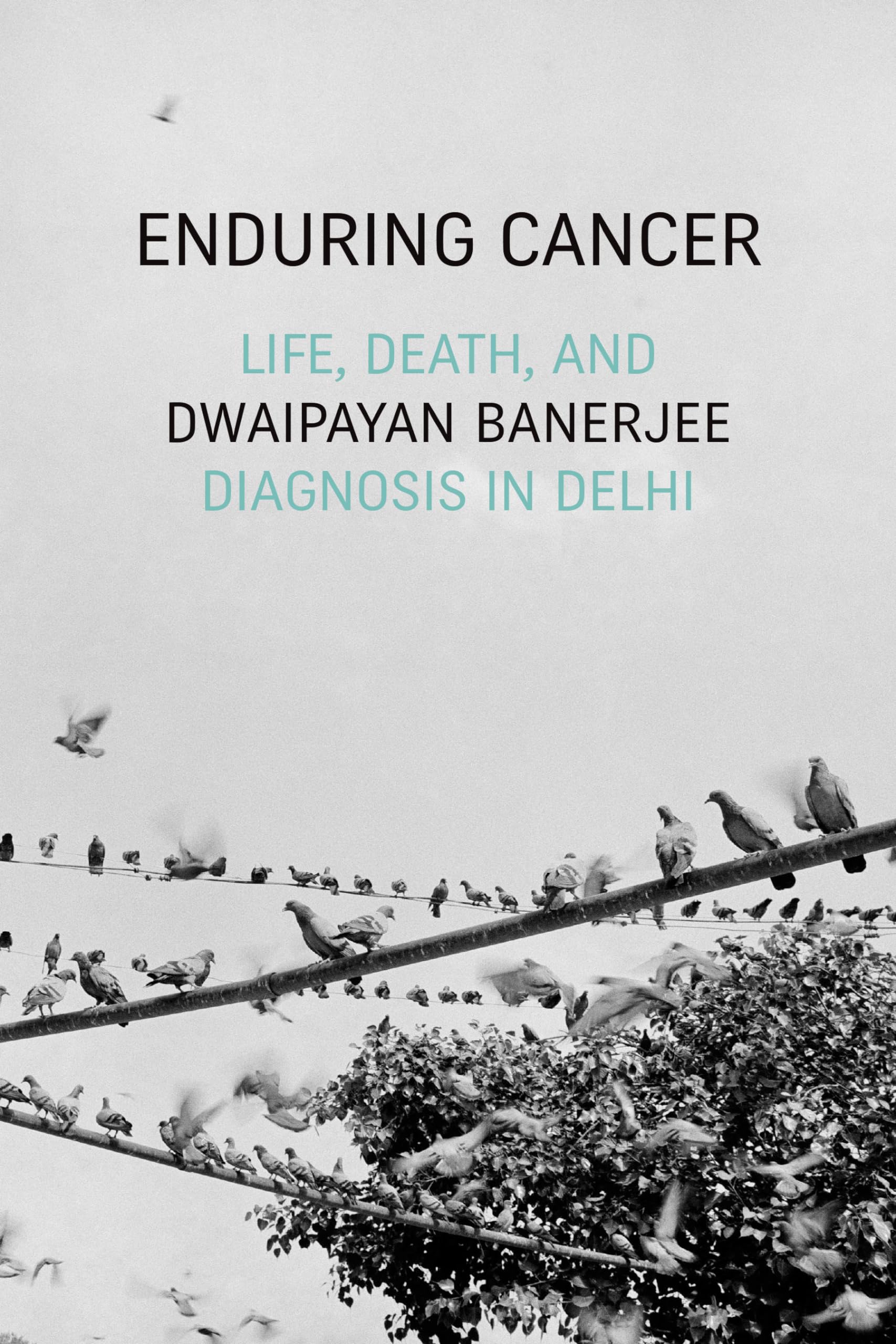 Enduring Cancer: Life, Death, and Diagnosis in Delhi (Critical Global Health: Evidence, Efficacy, Ethnography),Used