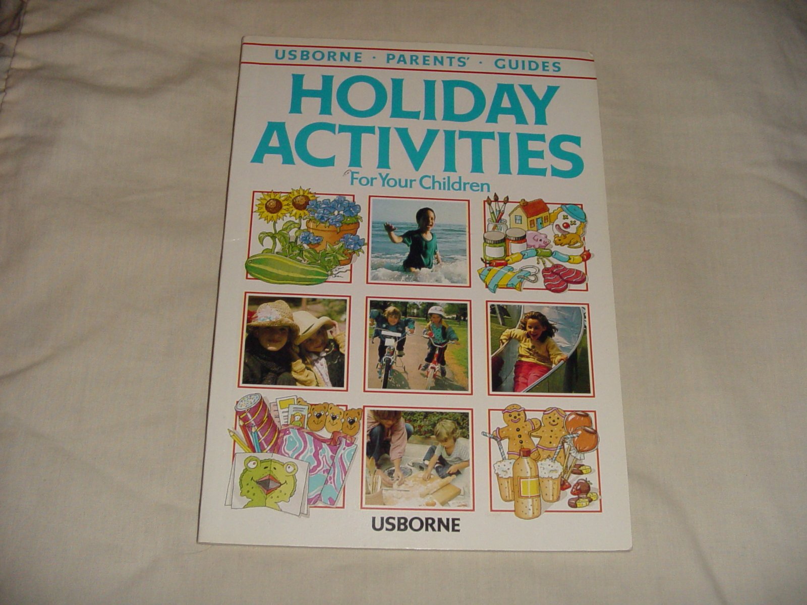 Holiday Activities (Parents Guides Series),Used