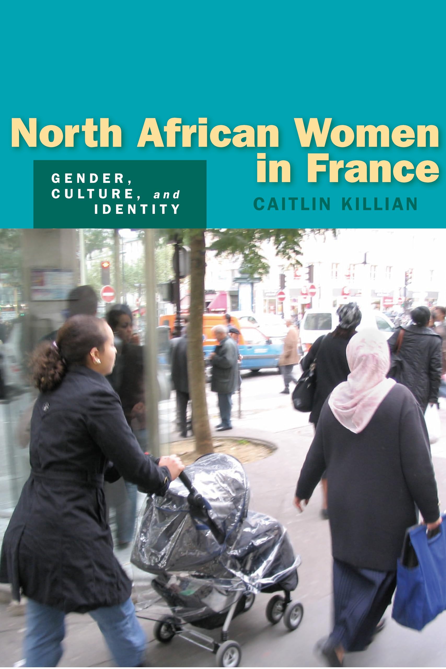 North African Women In France: Gender, Culture, And Identity,Used