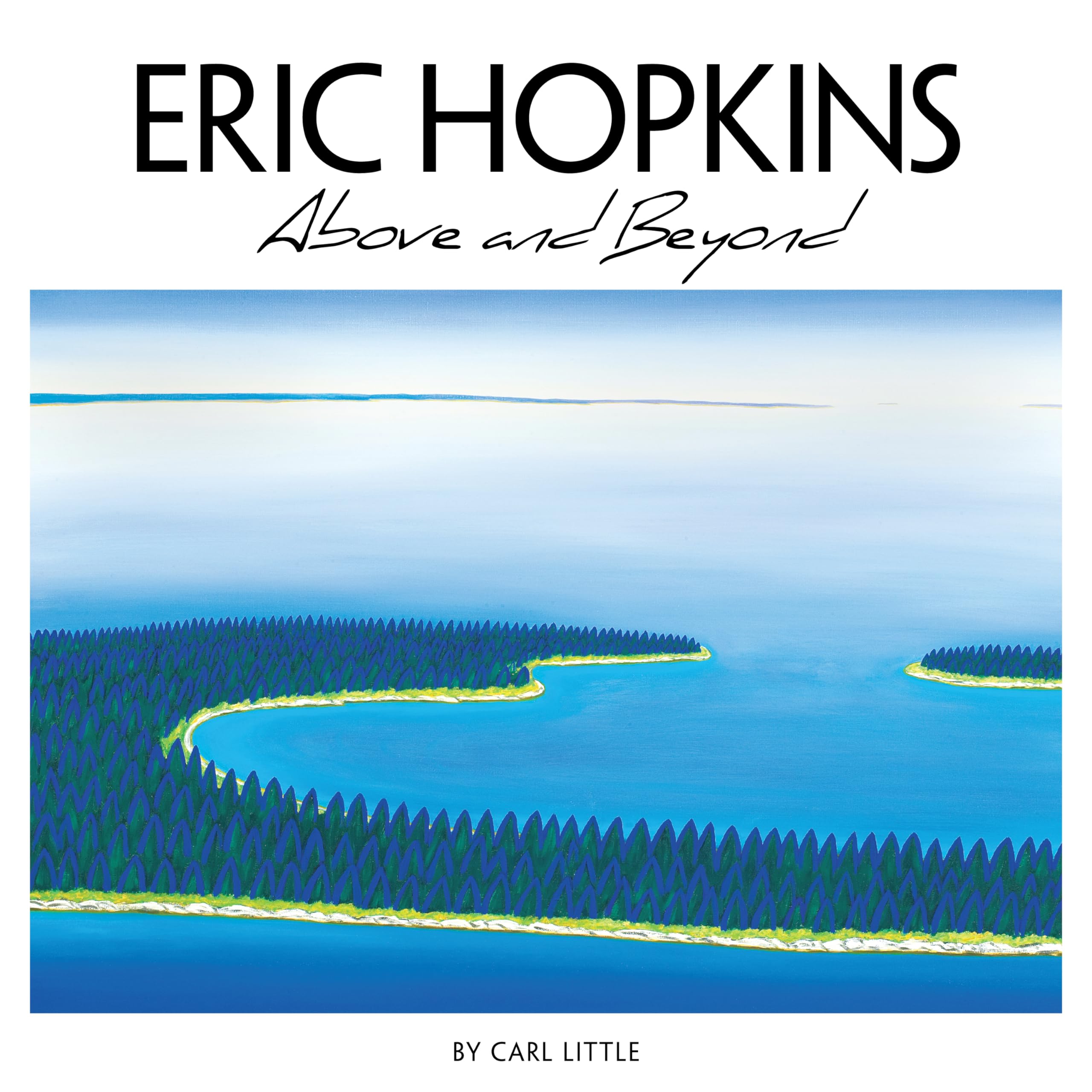 Eric Hopkins: Above And Beyond-used