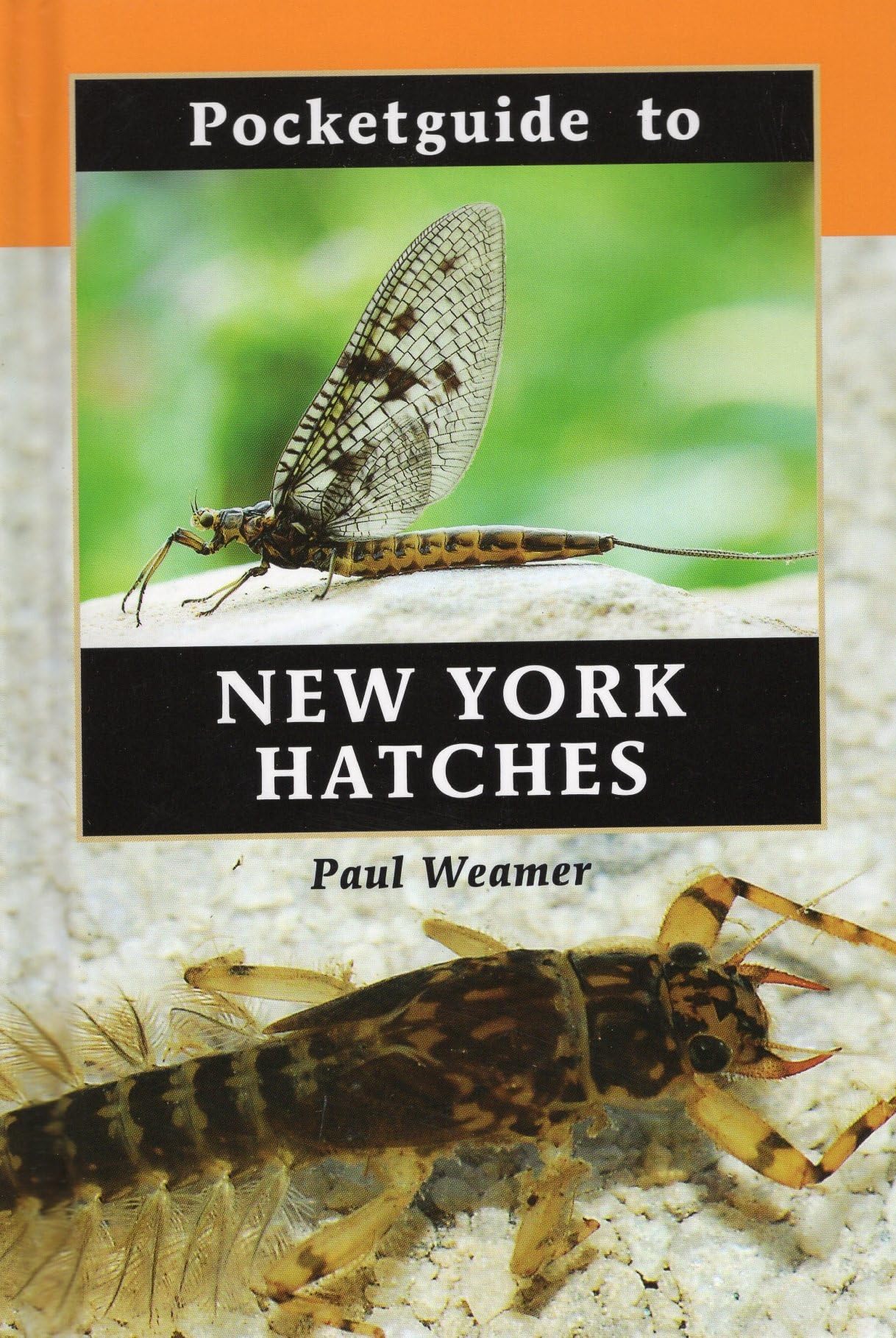 Pocketguide to New York Hatches,Used