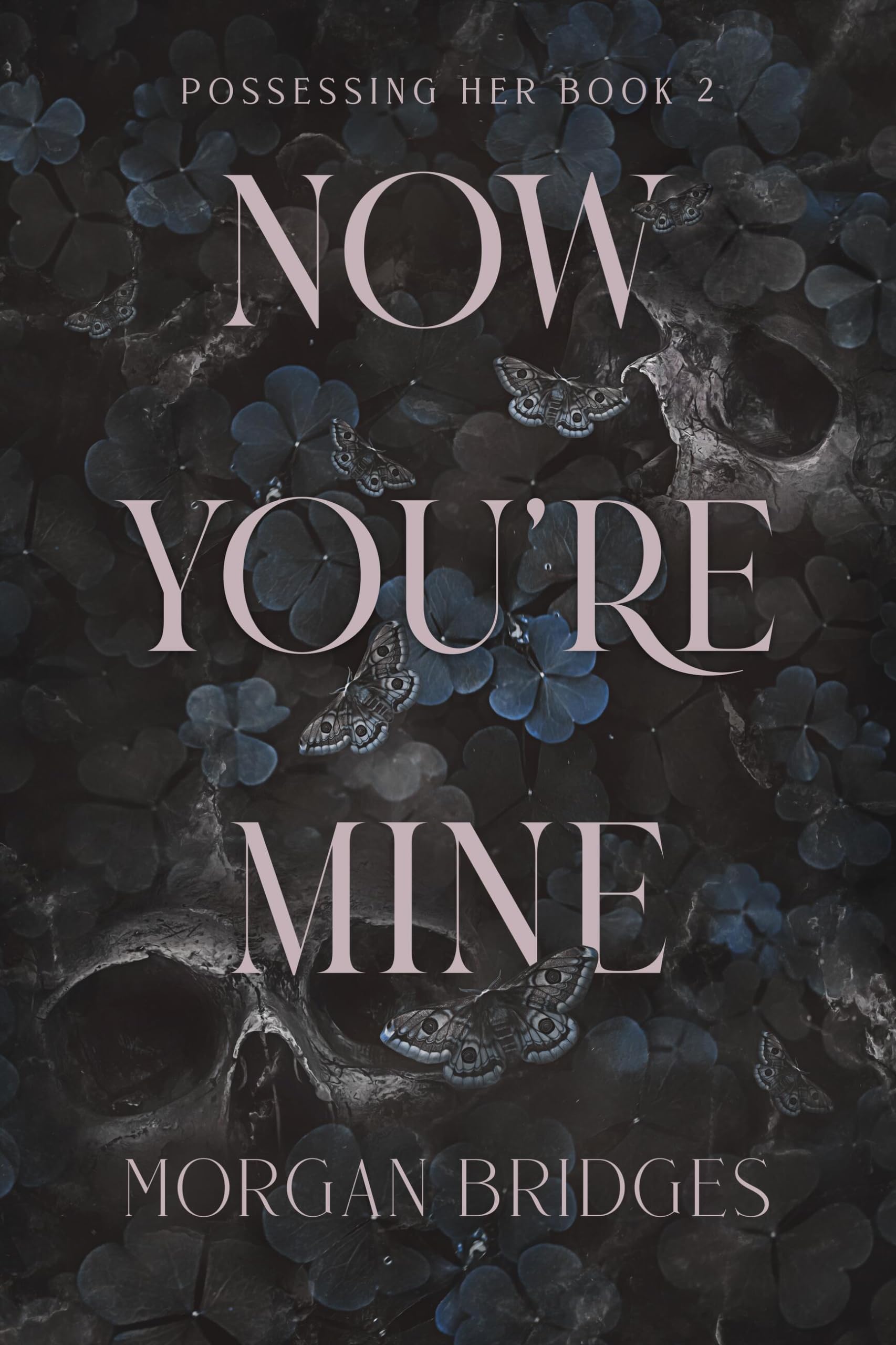 Now You re Mine: A Dark Stalker Romance