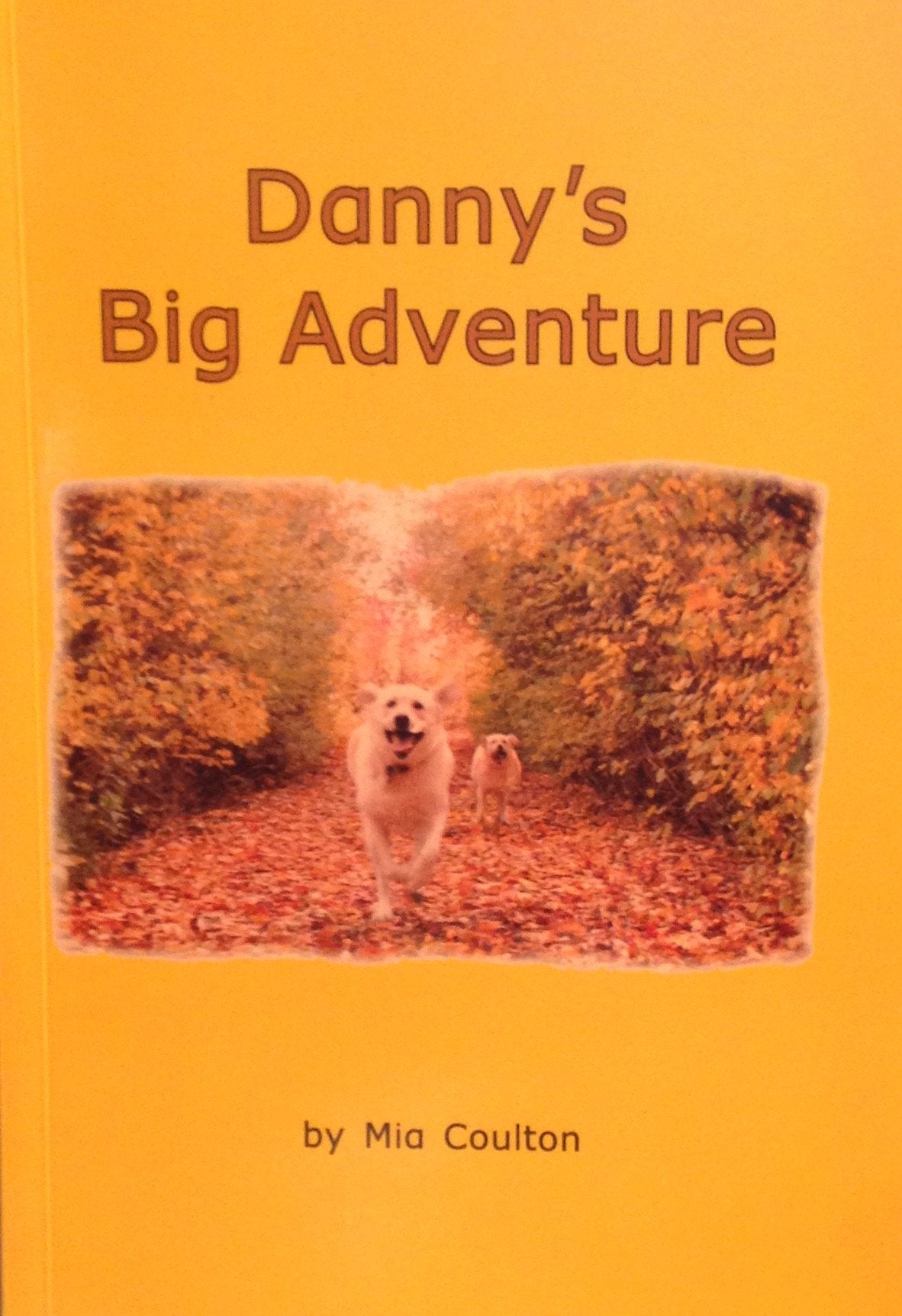 Danny's Big Adventure (Danny Chapter Books),Used