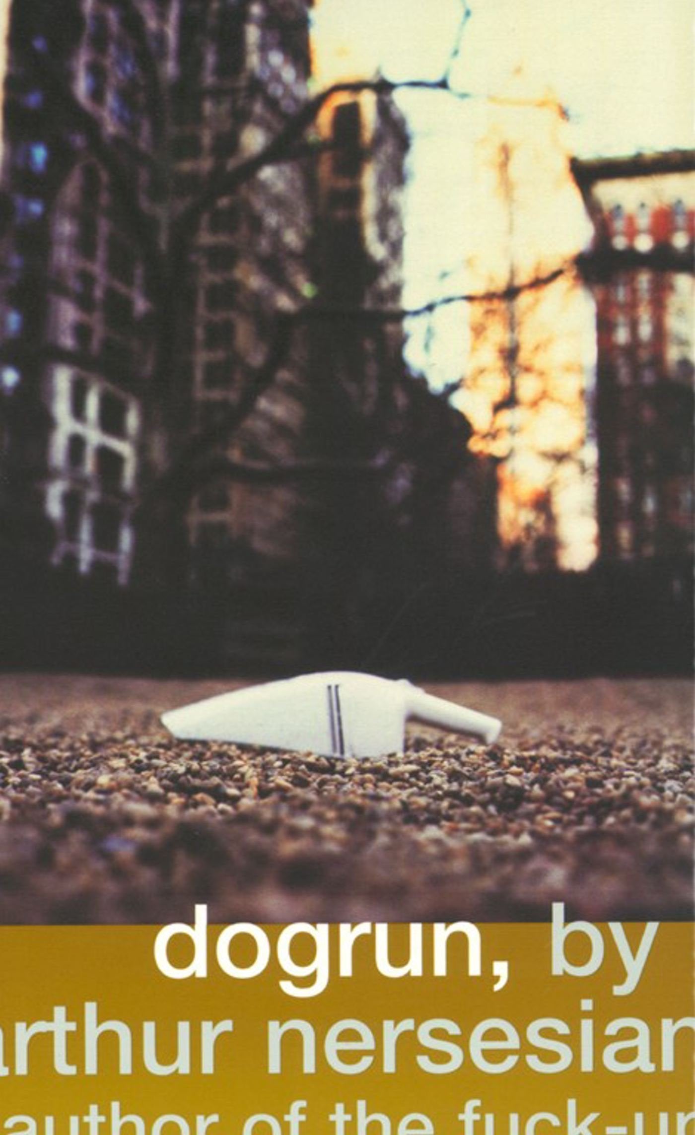 Dogrun-Used Condition