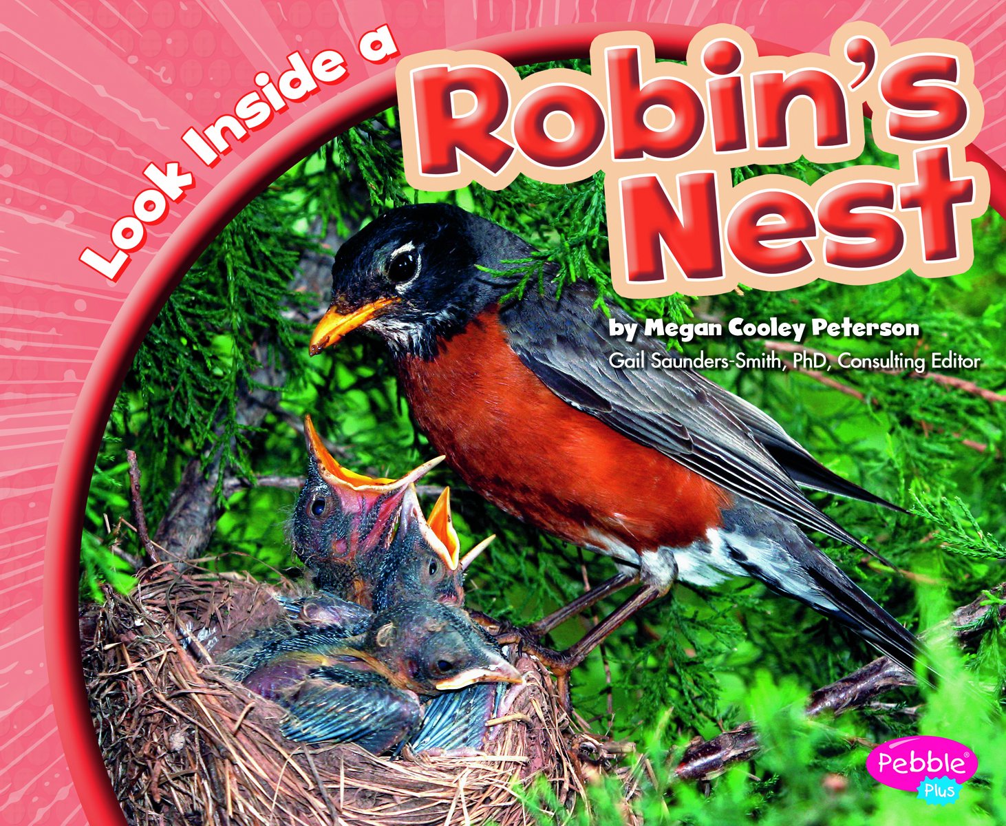 Look Inside a Robin's Nest (Pebble Plus),Used