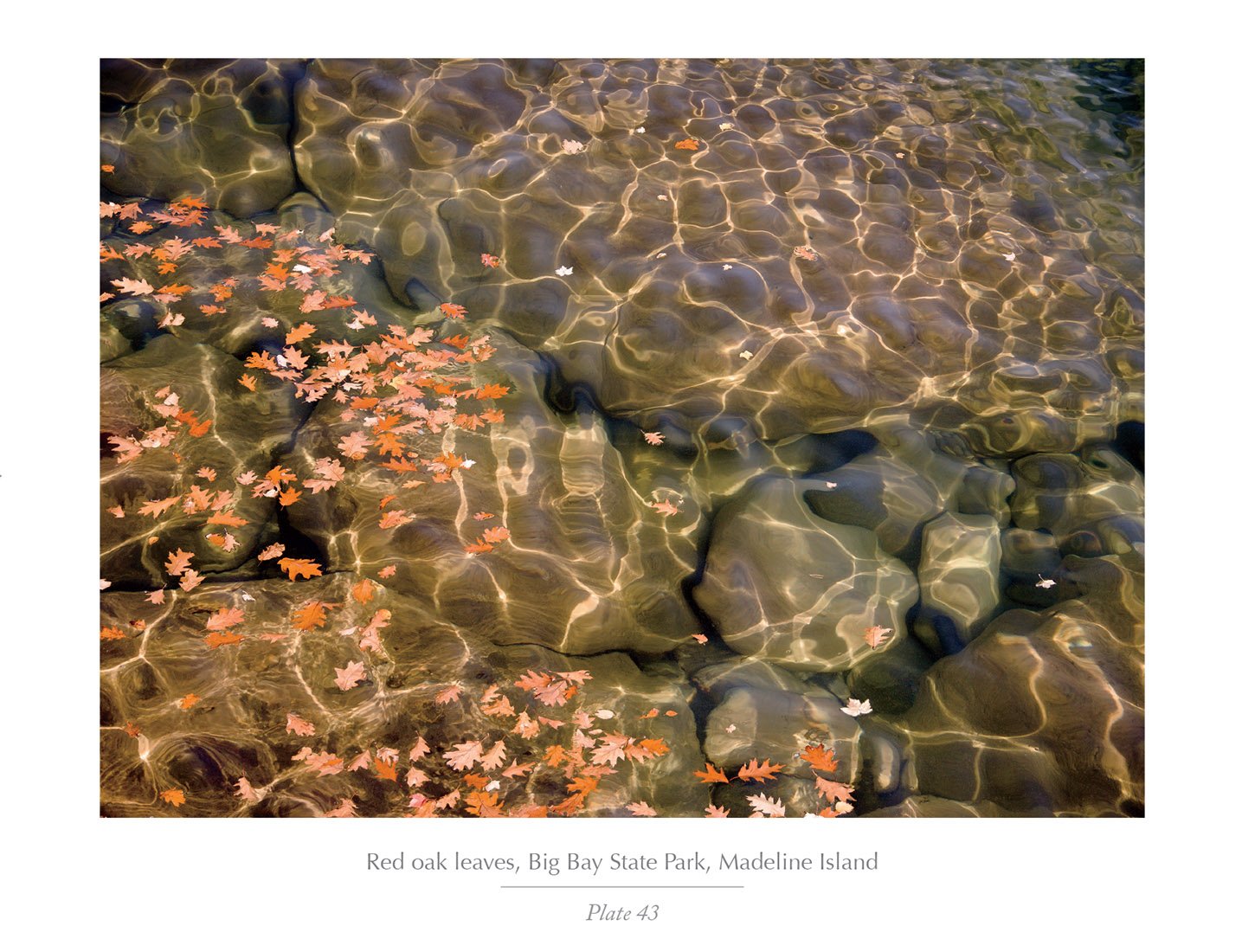 Apostle Islands (Souvenir Edition): From Land and Sea,Used