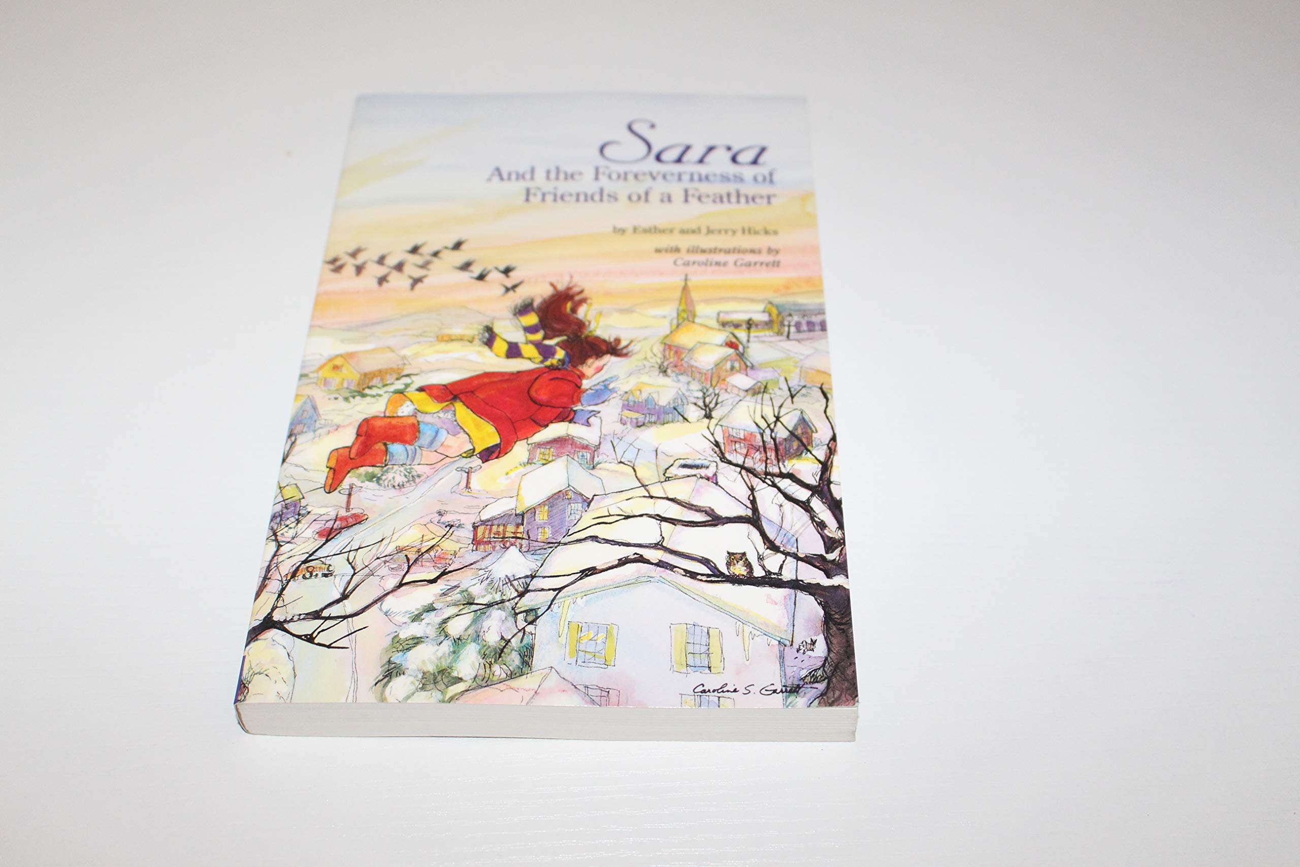 Sara and the Foreverness of Friends of a Feather,Used