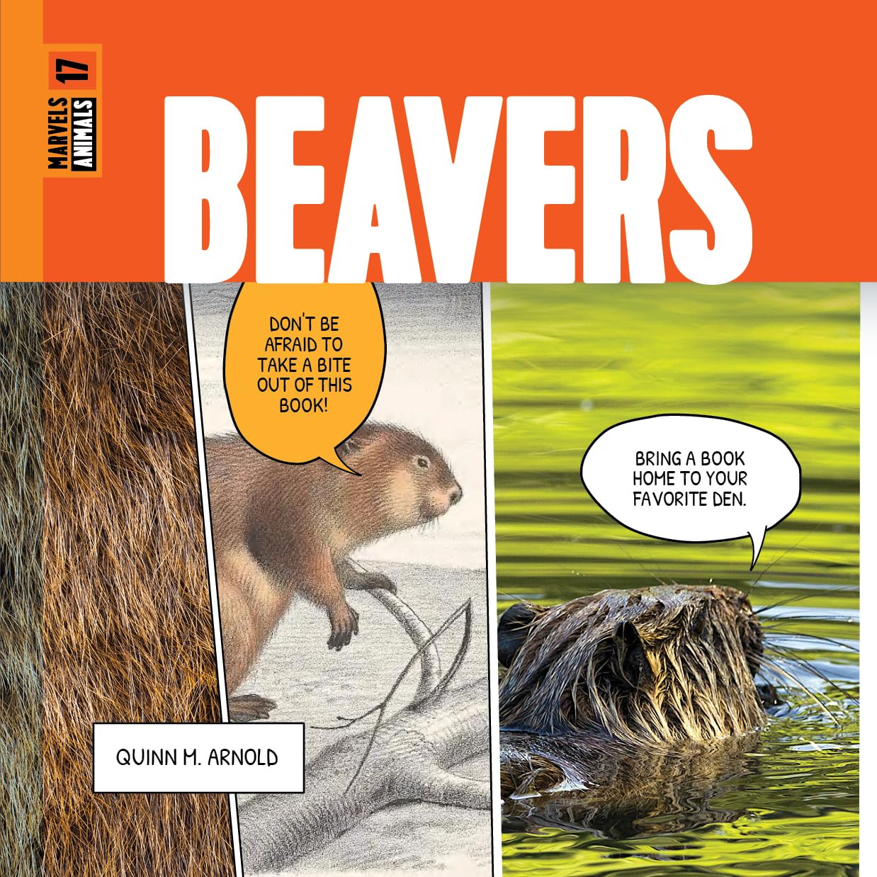 BEAVERS