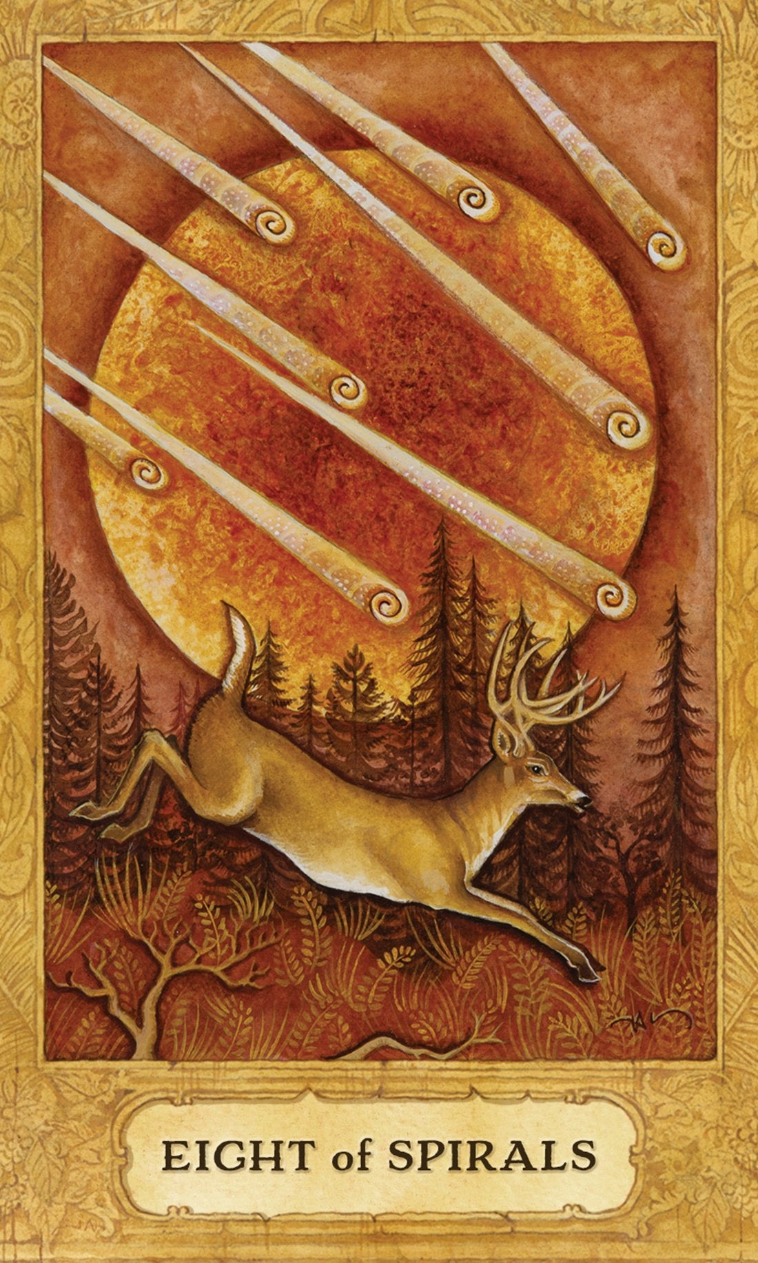 Chrysalis Tarot Deck & Book Set,New