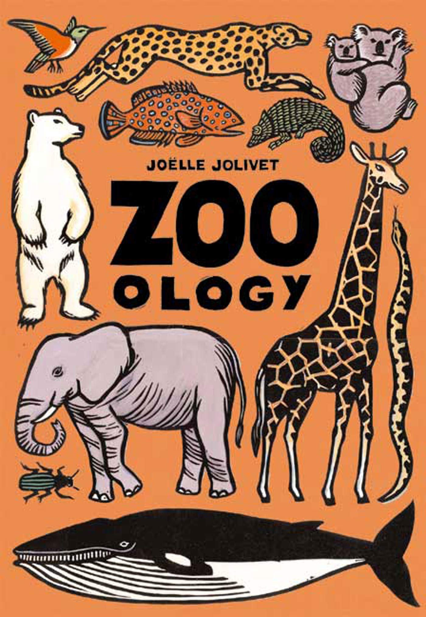 Zoo  ology,New