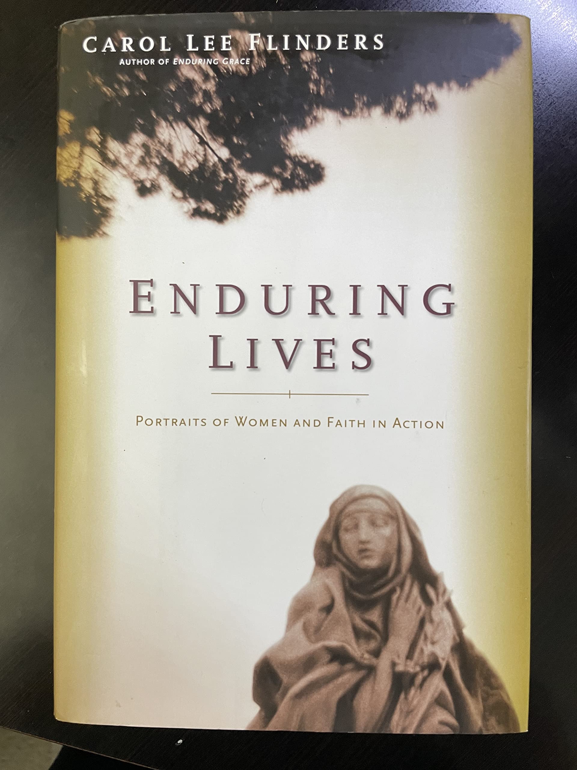 Enduring Lives: Portraits Of Women And Faith In Action,Used