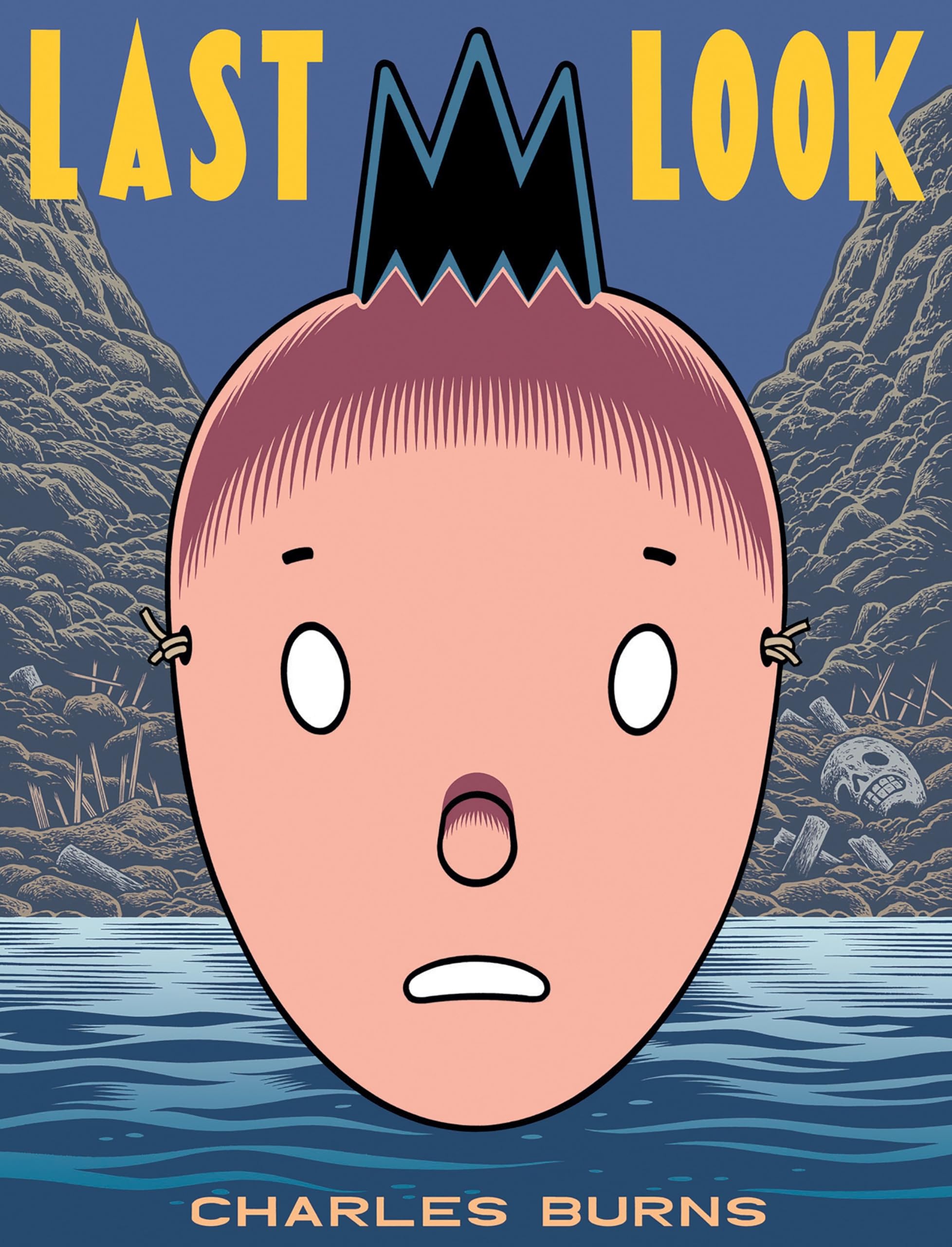 Last Look,Used