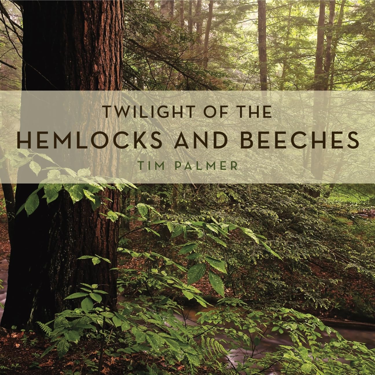Twilight of the Hemlocks and Beeches (Keystone Books),New