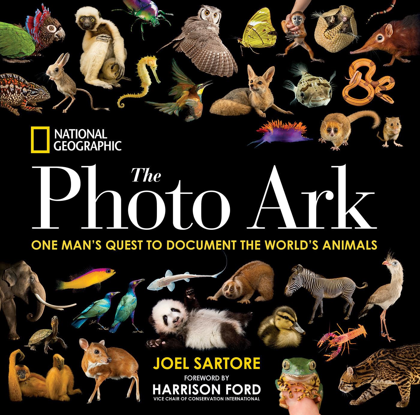 National Geographic The Photo Ark: One Man'S Quest To Document The World'S Animals