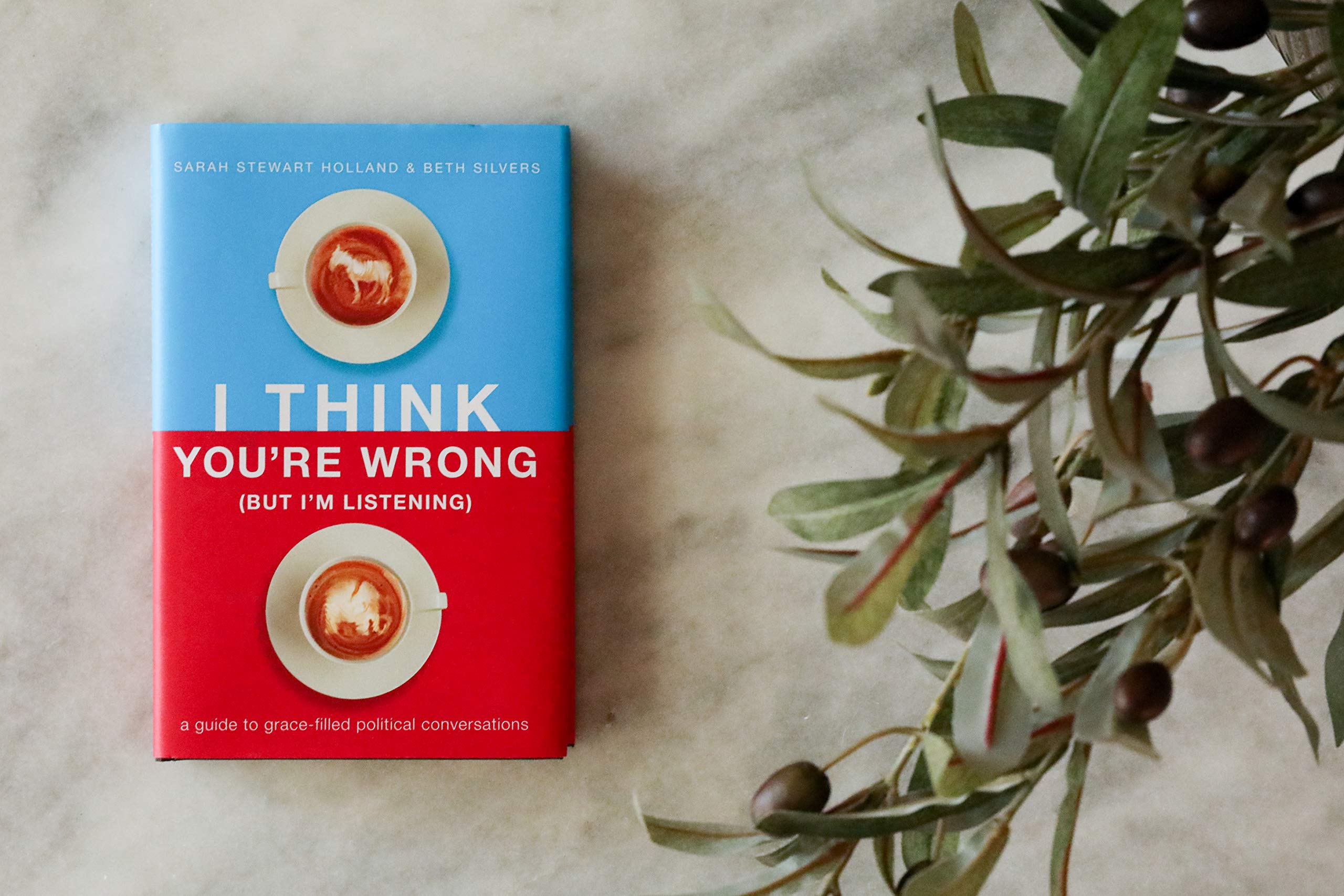 I Think You'Re Wrong (But I'M Listening): A Guide To Gracefilled Political Conversations