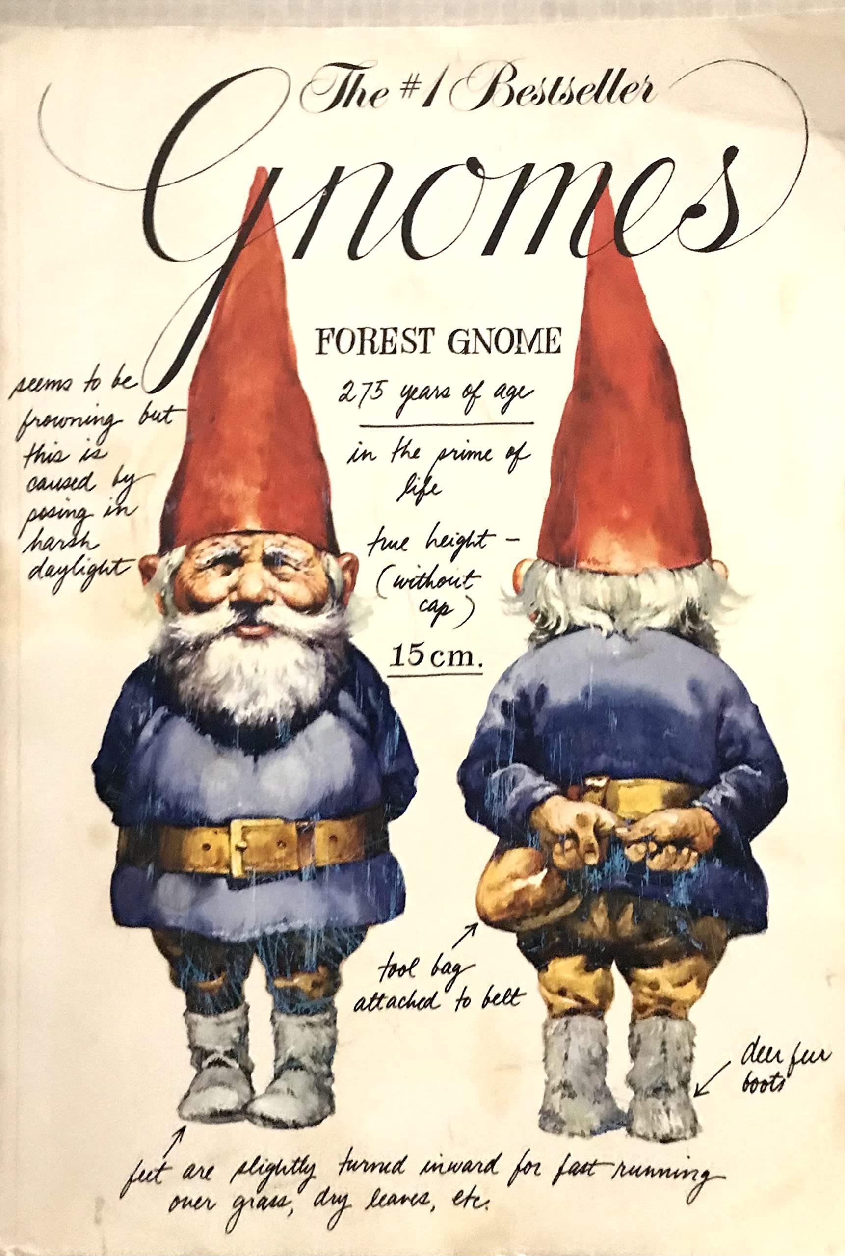 Gnomes,New