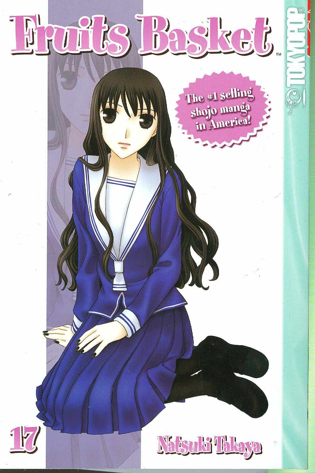 Fruits Basket, Vol. 17,Used