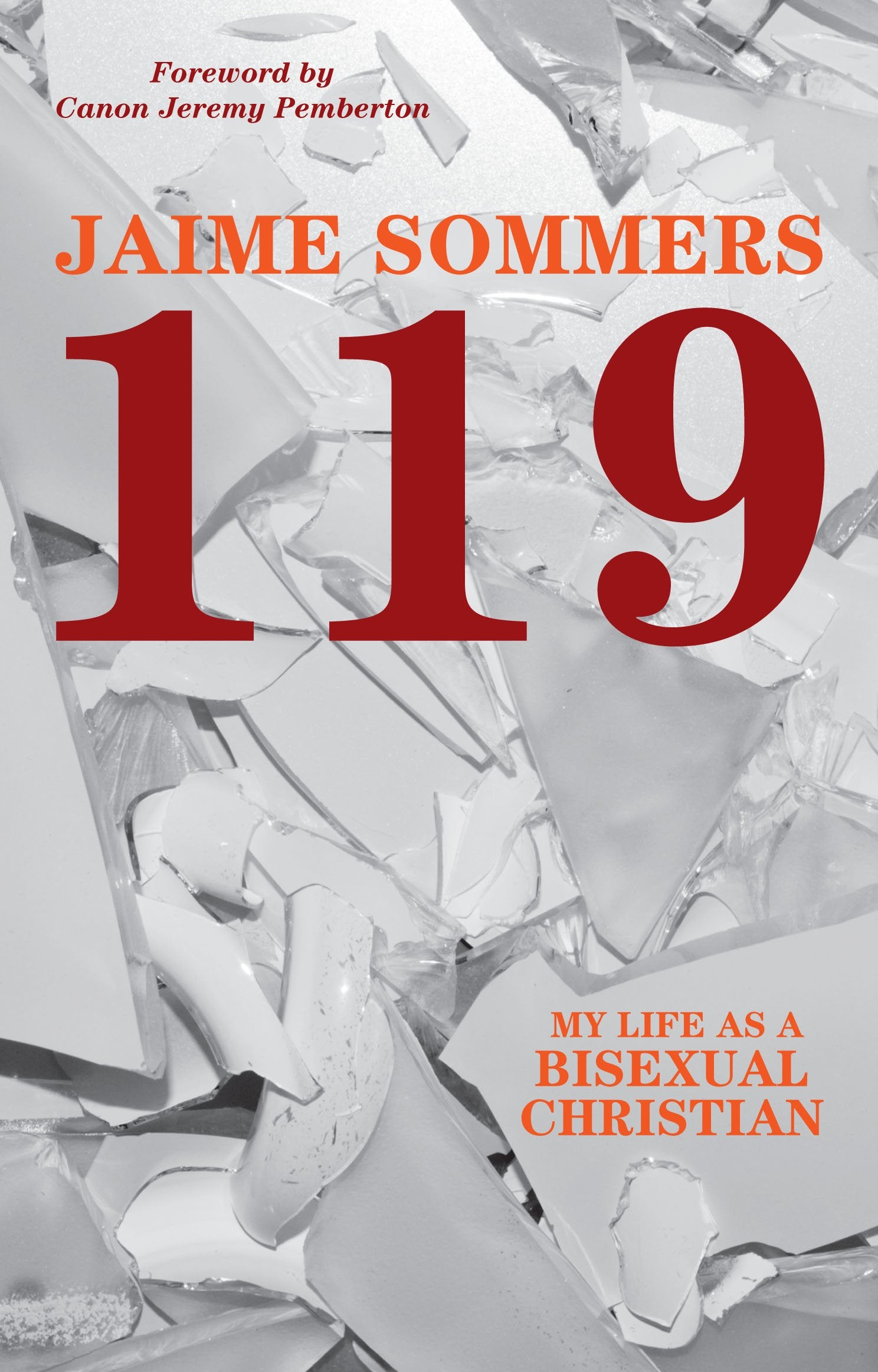 119: My Life as a Bisexual Christian,Used