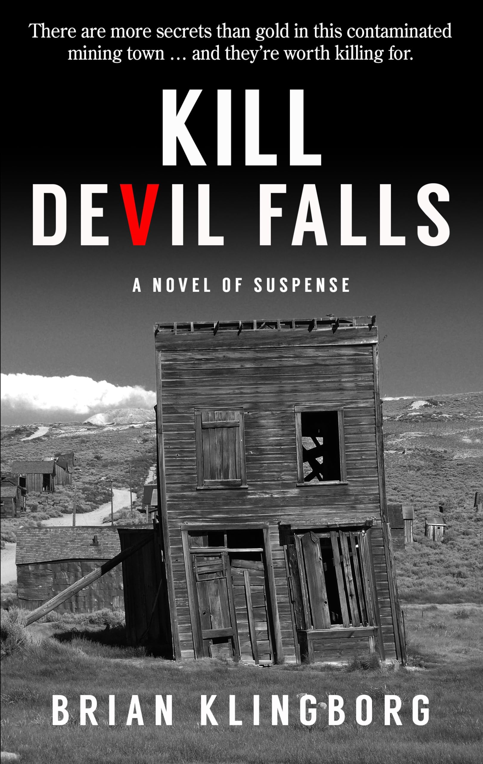 Kill Devil Falls (Thorndike Press Large Print Lifestyles Peer Picks),Used