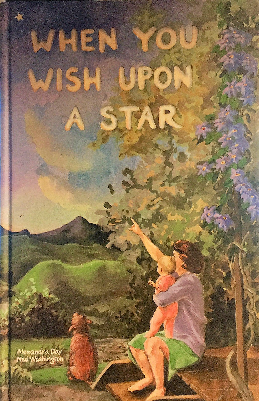 WHEN YOU WISH UPON A STAR (BOOK ONLY),Used