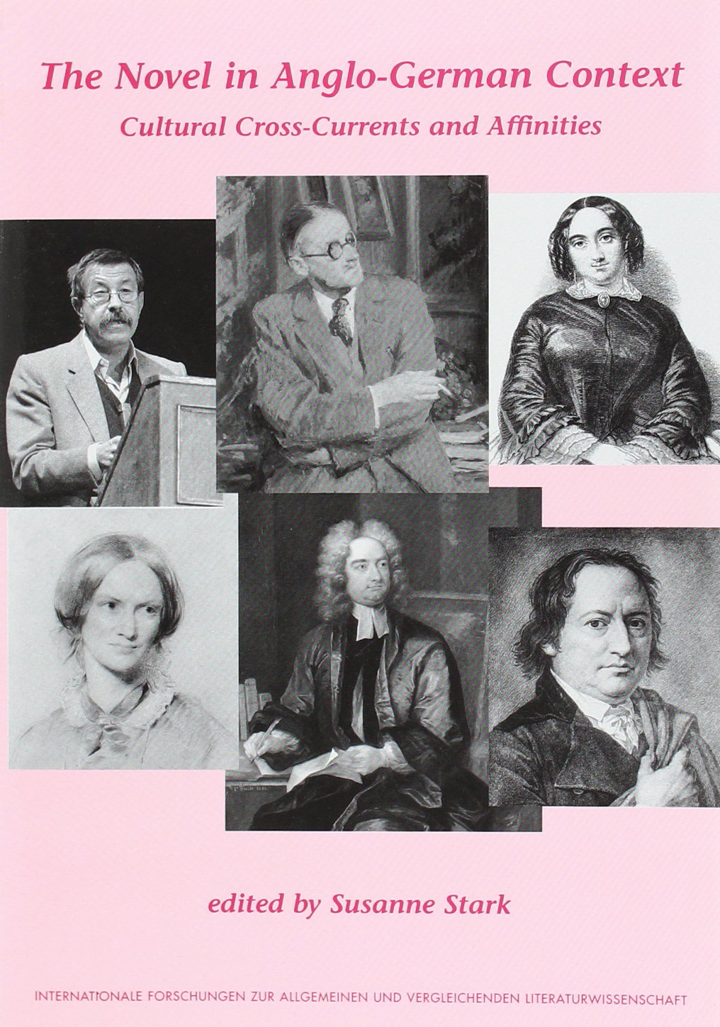 The Novel In Anglogerman Context: Cultural Crosscurrents And Affinities (Internationale Forschungen Zur Allgemeinen Und Vergle,Used