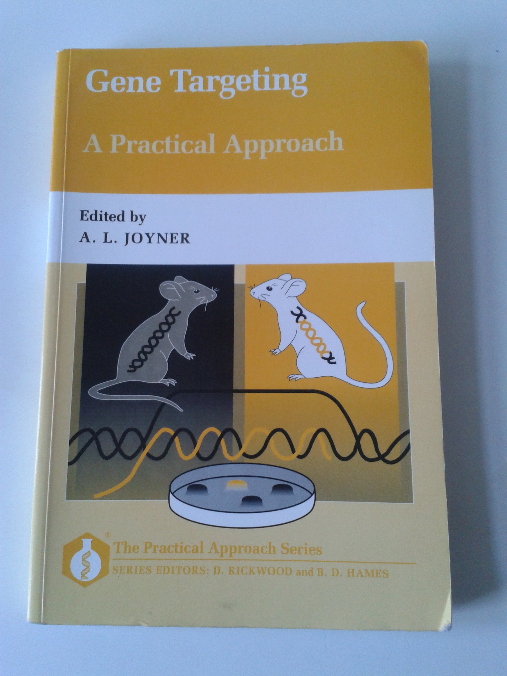 Gene Targeting: A Practical Approach (The ^APractical Approach Series),Used