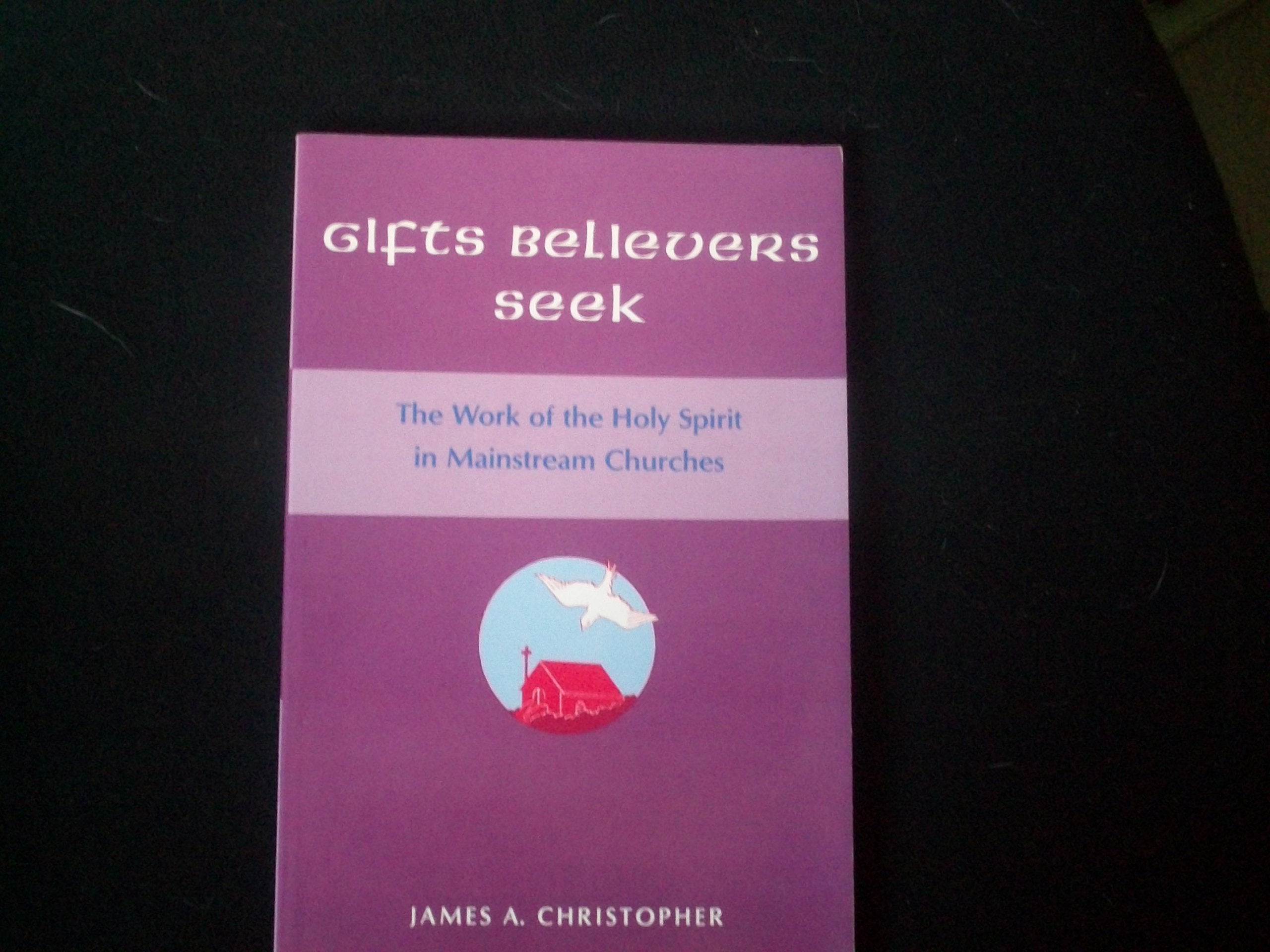 Gifts Believers Seek: The Work of the Holy Spirit in Mainstream Churches,Used