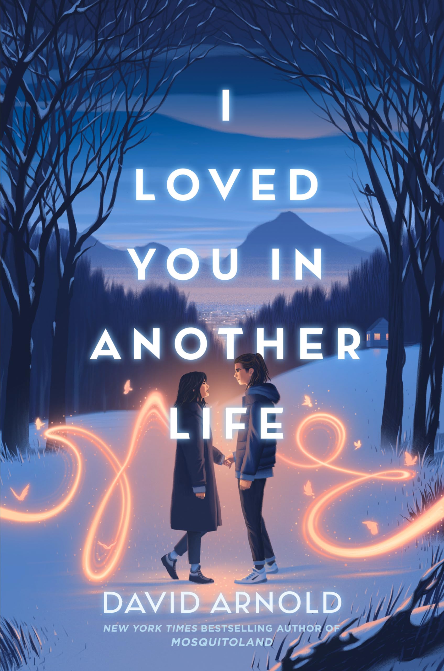 I Loved You In Another Life,New