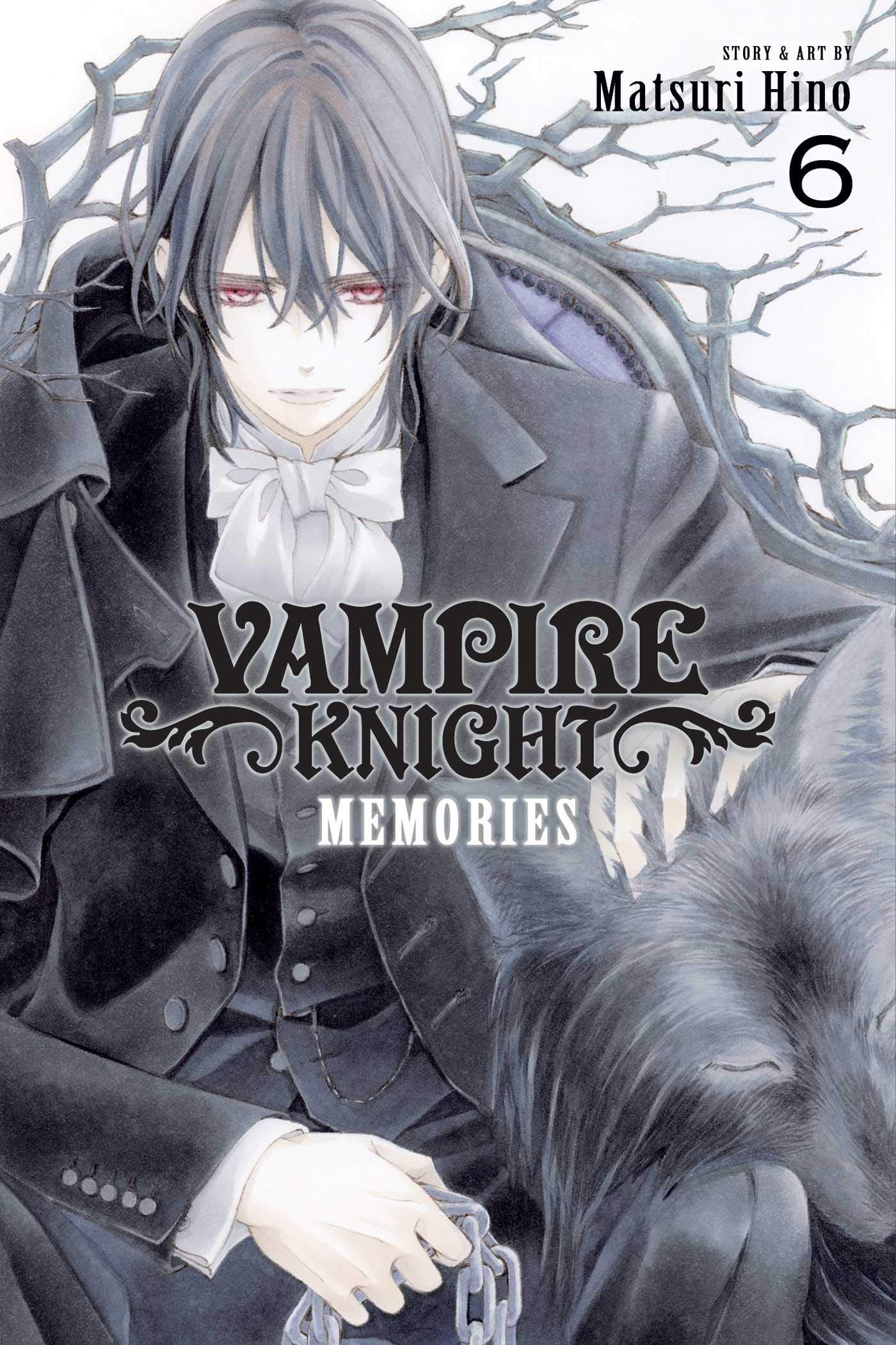 Vampire Knight: Memories, Vol. 6 (6),Used