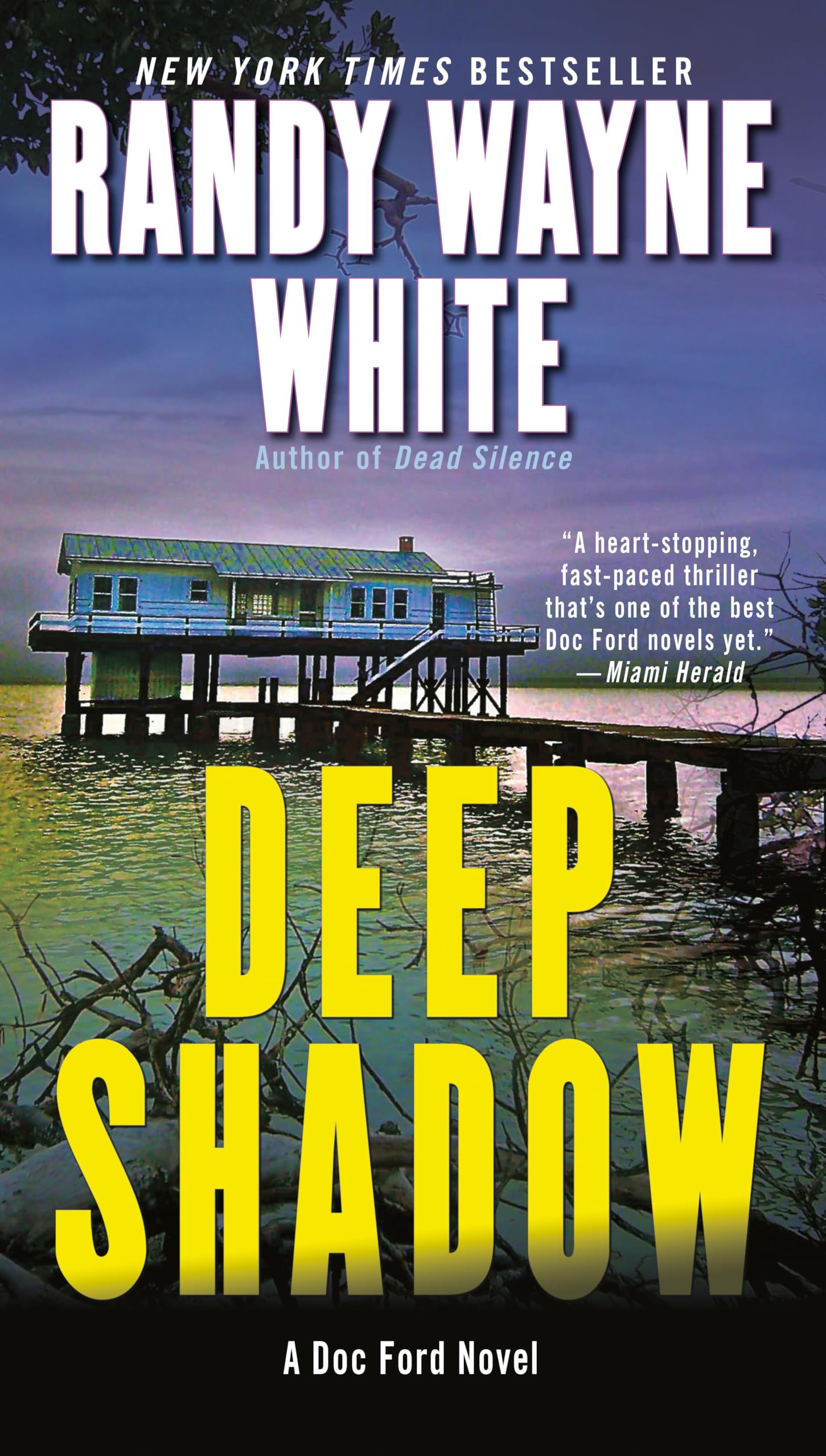 Deep Shadow (A Doc Ford Novel),New