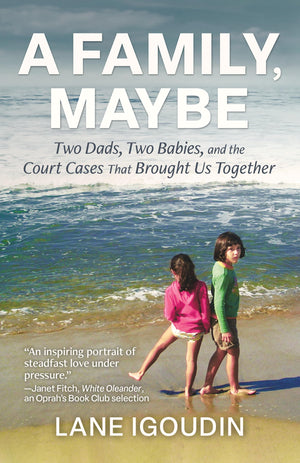A Family, Maybe: Two Dads, Two Babies, And The Court Cases That Brought Us Together,Used