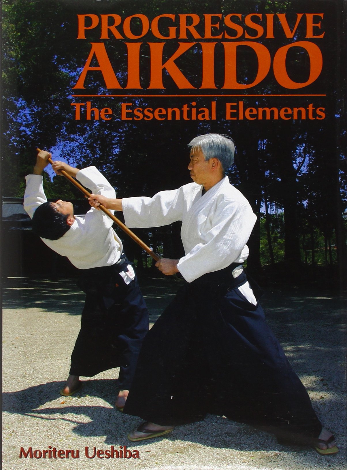 Progressive Aikido: The Essential Elements,New