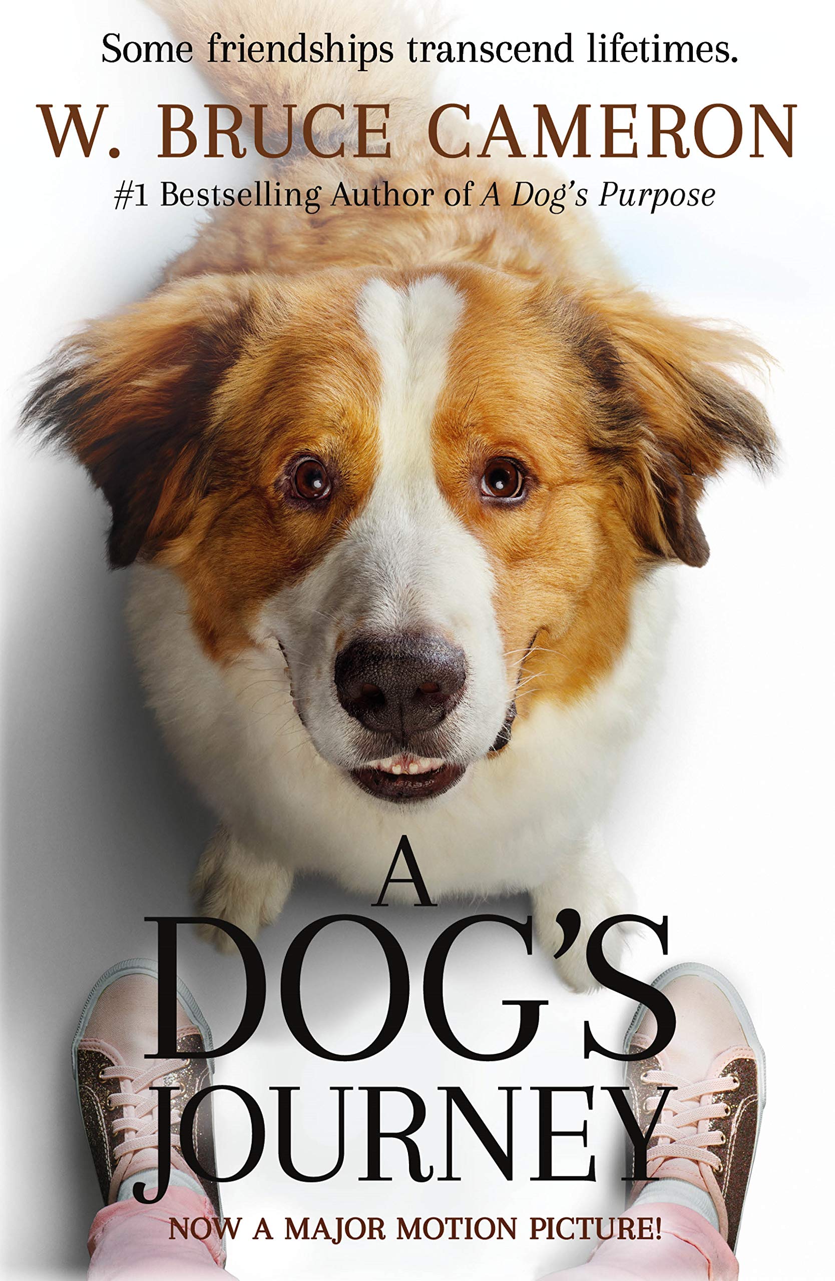 A Dog's Journey Movie TieIn: A Novel (A Dog's Purpose, 2),Used