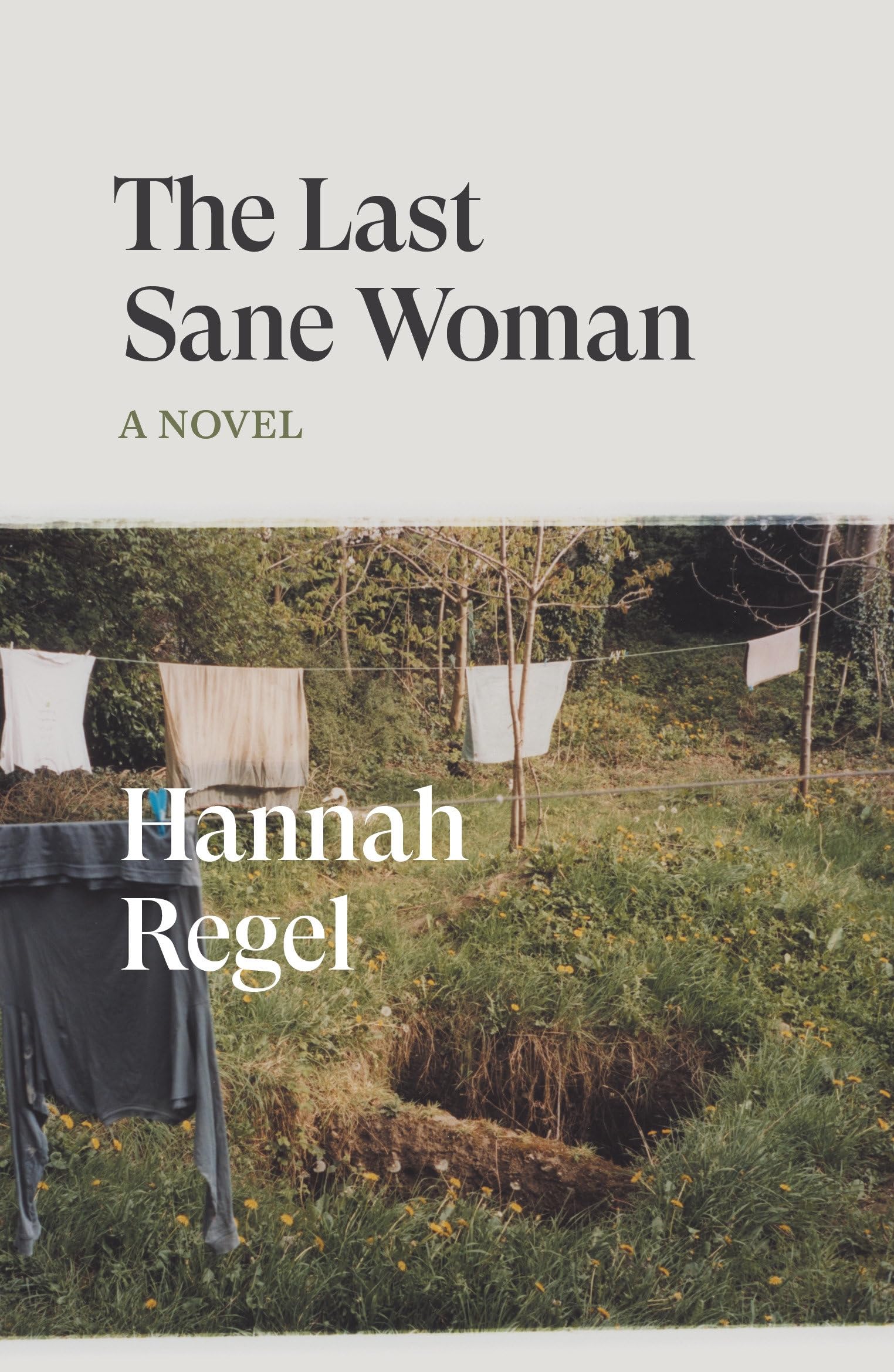 The Last Sane Woman: A Novel (Verso Fiction),New