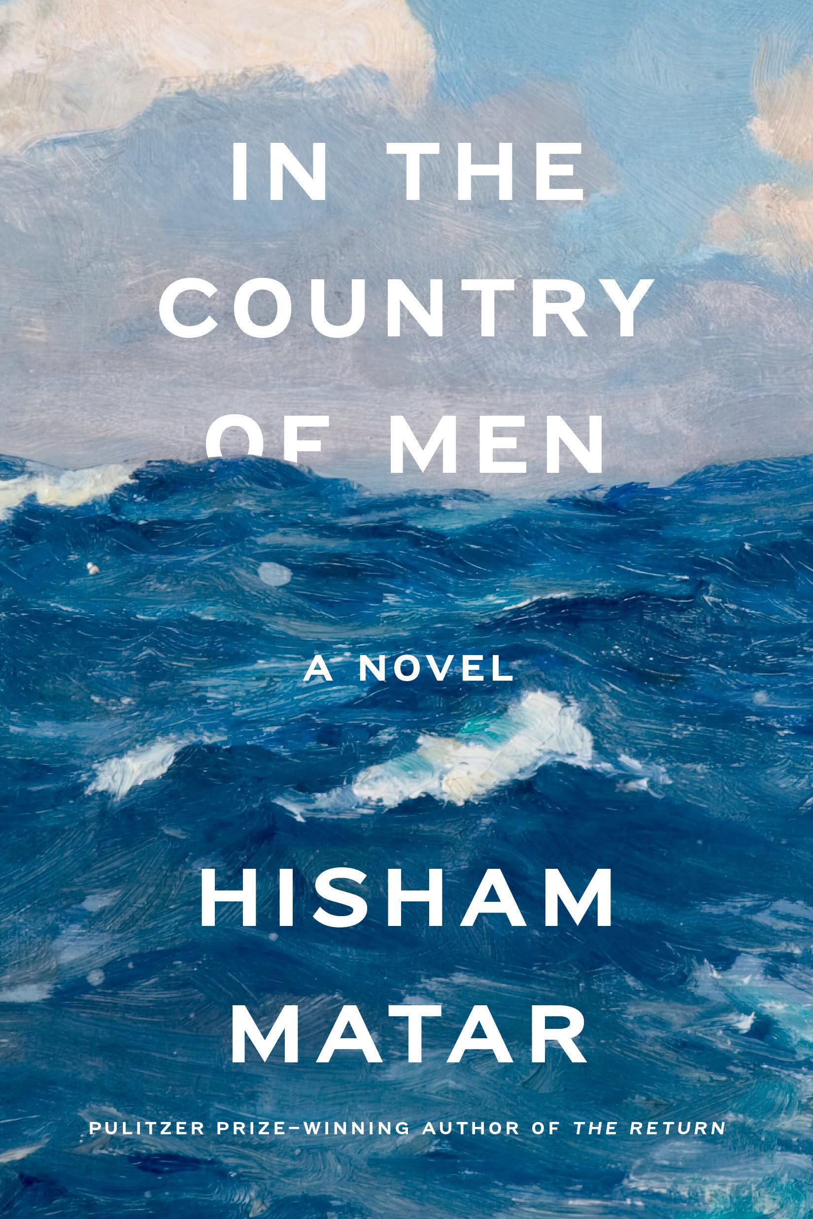 In the Country of Men: A Novel,Used