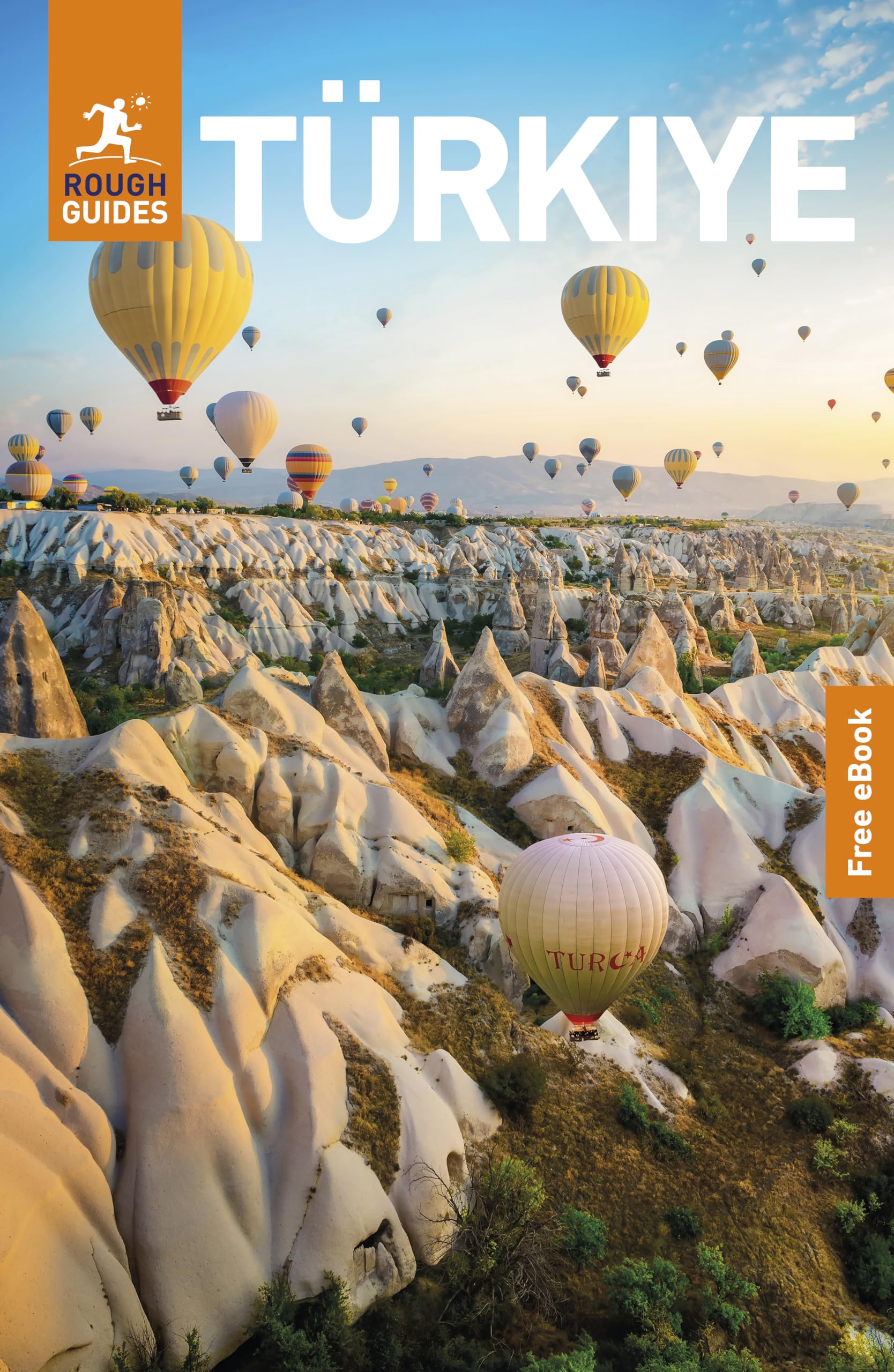 Rough Guides Turkiye: Travel Guide With Ebook (Rough Guides Main Series)