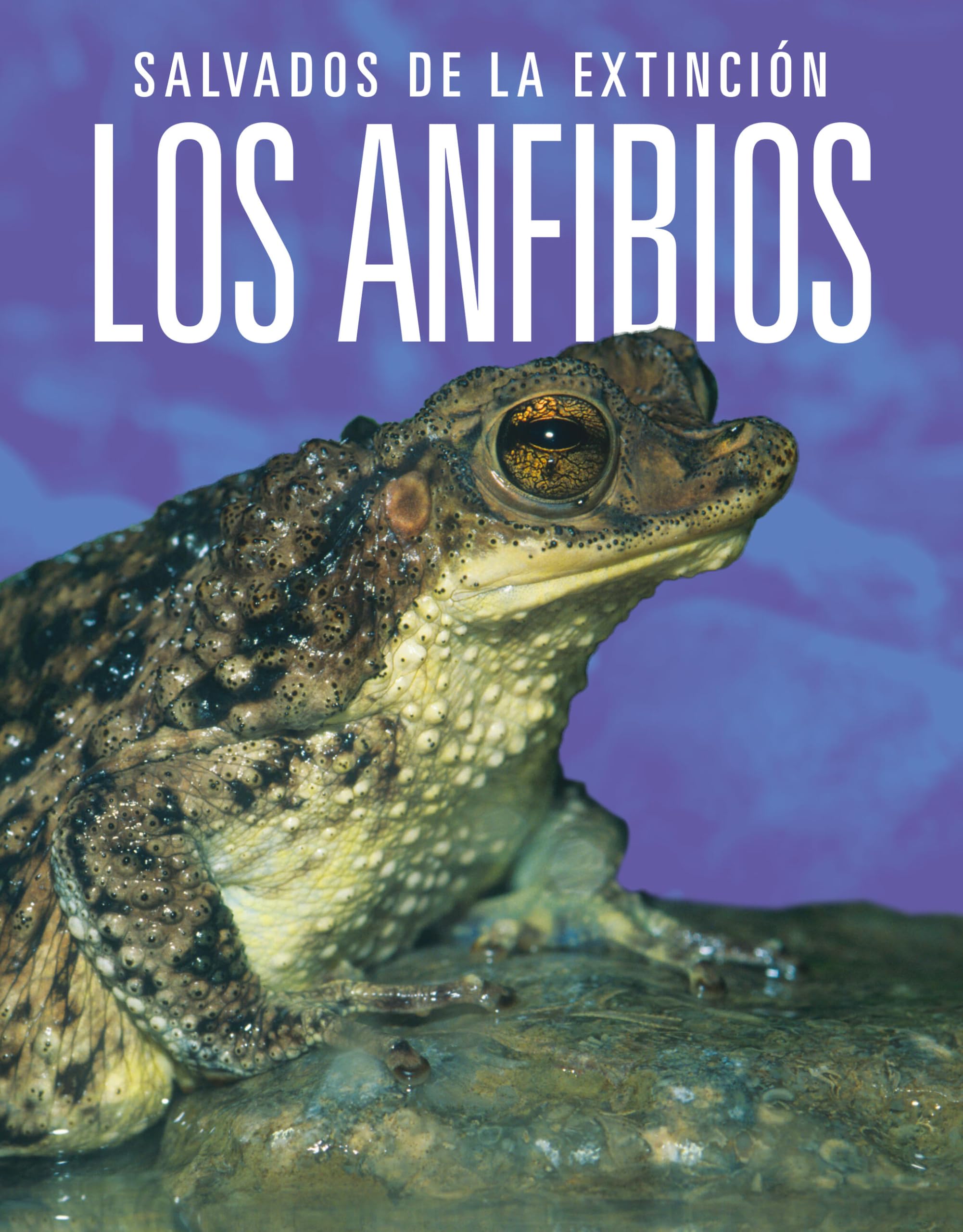 Los Anfibios: Salvados De La Extincin (Spanish Edition)