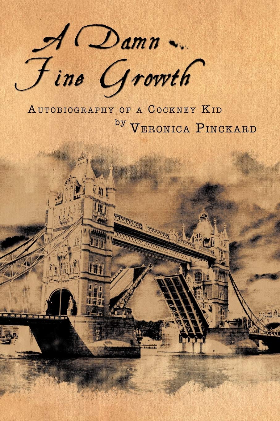 A Damn Fine Growth: Autobiography Of A Cockney Kid,Used