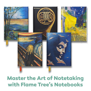 Gerritt Vandersyde: Flamingoes (Foiled Journal) (Flame Tree Notebooks),Used